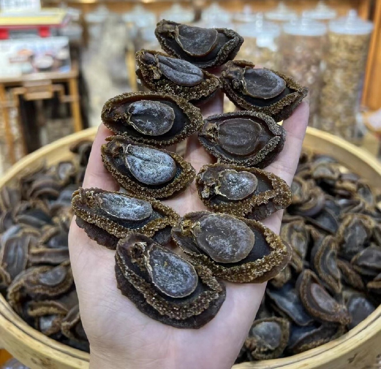 日本极品鲍鱼溏心鲍 日本吉品鲍鱼,鲍鱼届的爱马仕.