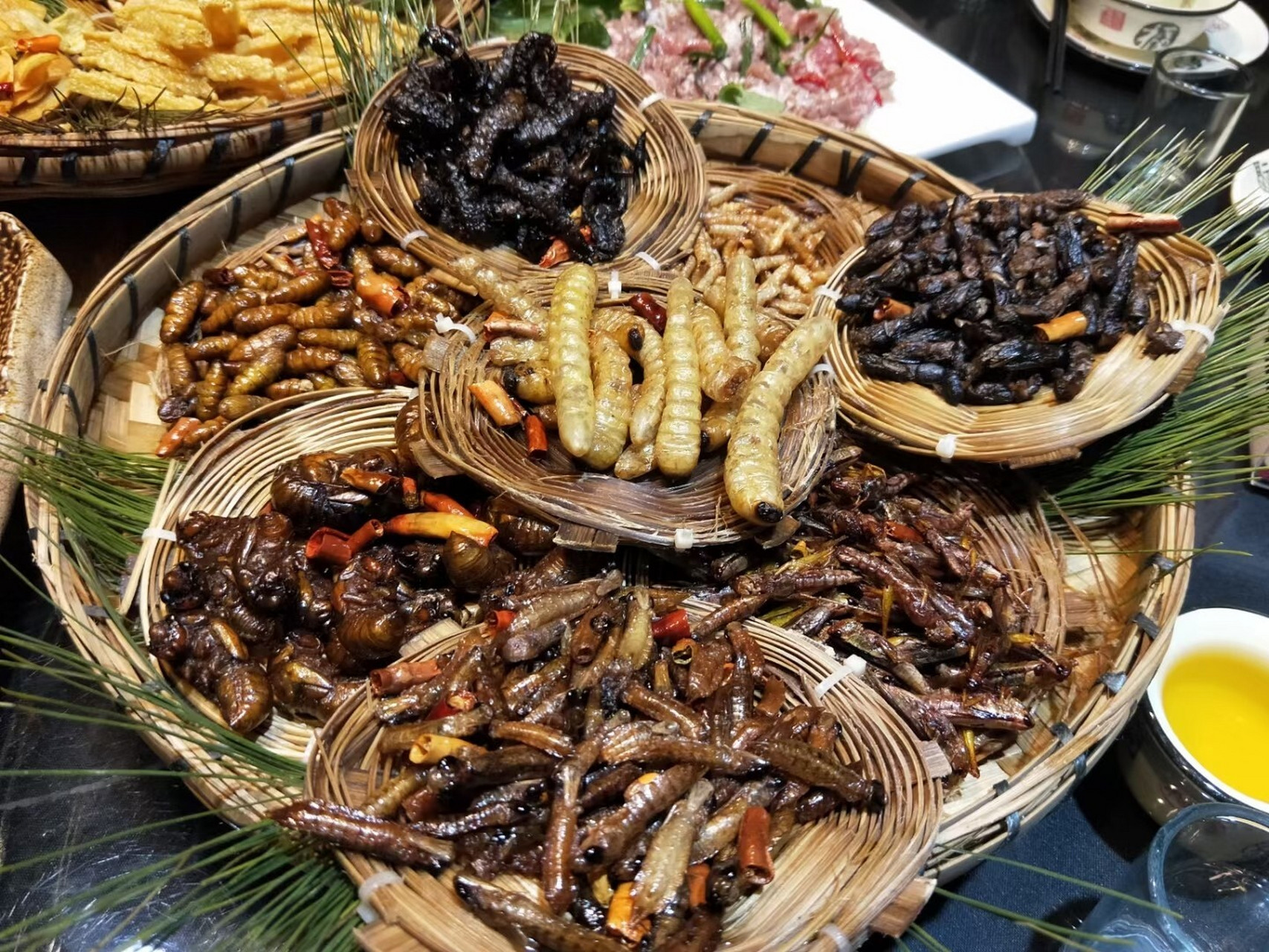 云南的昆虫宴害怕又美味,简直了 哈喽,今天是第一次发布,打卡地是云南