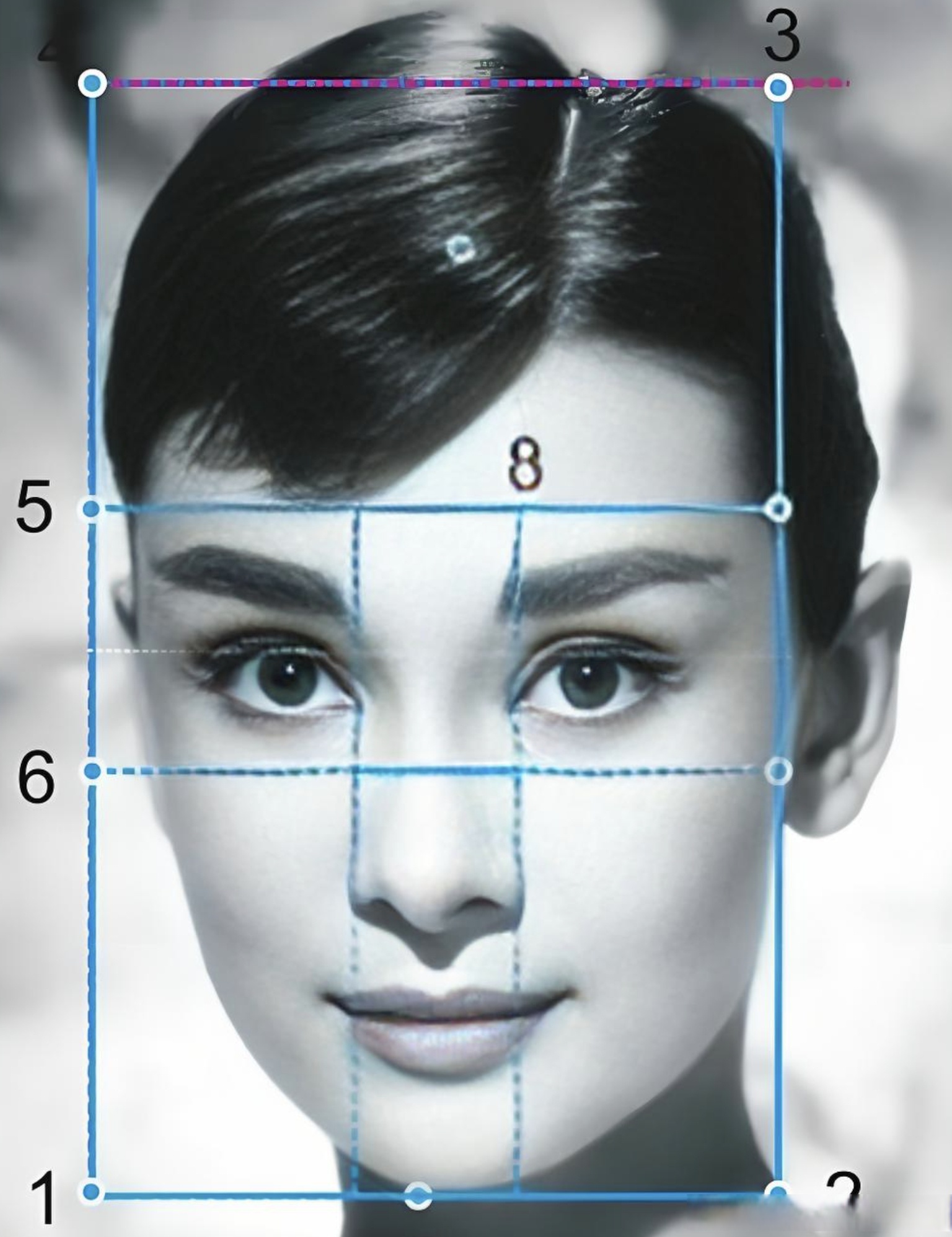 东西方对轮廓美的认知差异源自文化积淀,古希腊雕塑追求黄金分割比 