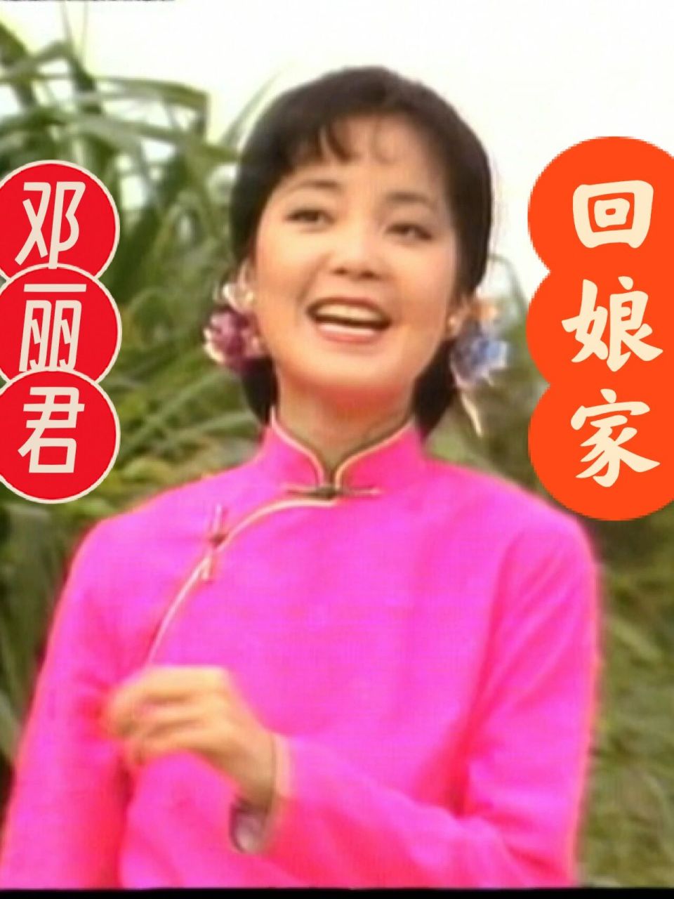 邓丽君  文才《回娘家》1982年 hd1080p            1982年 hd超高清