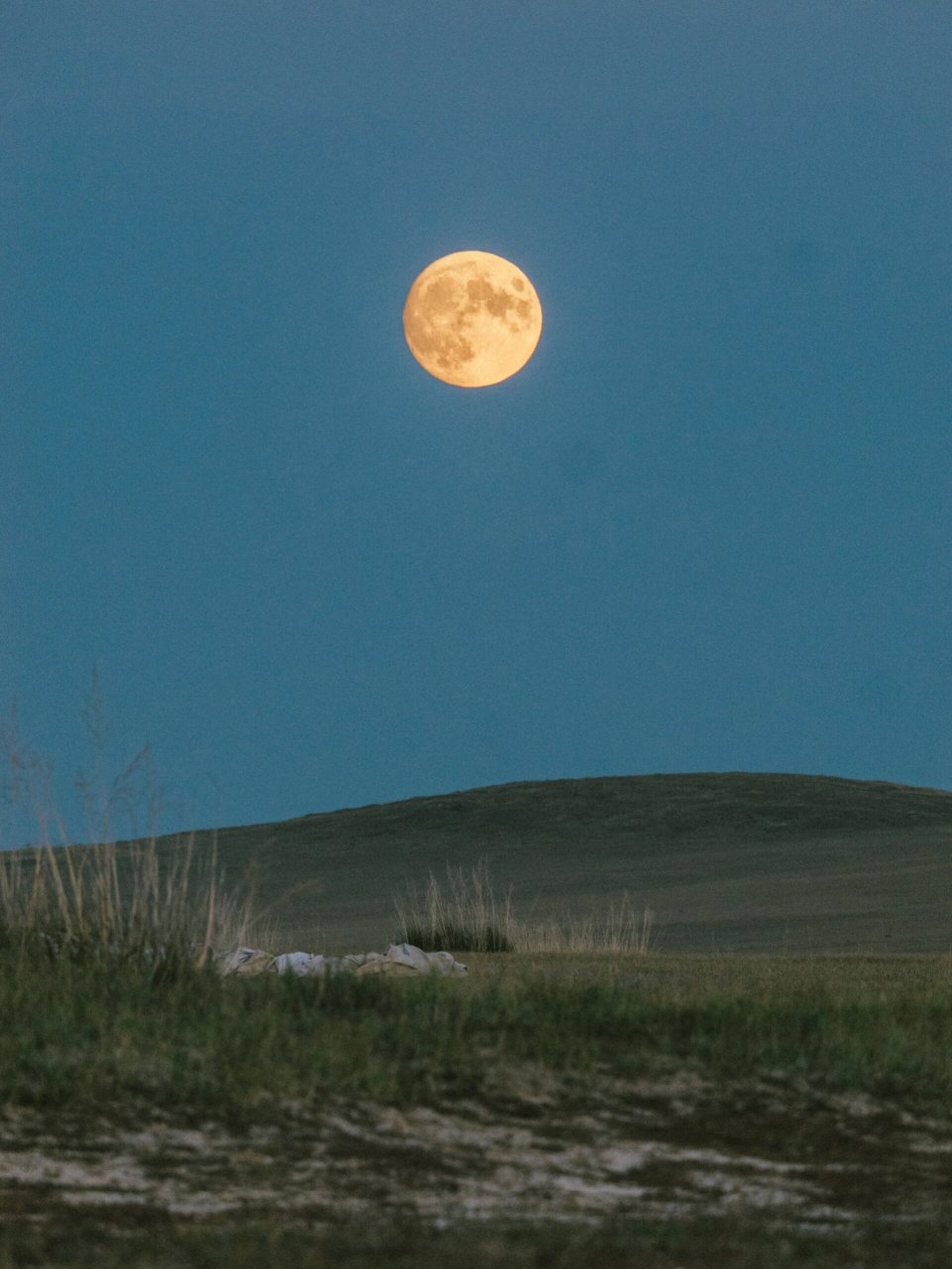 草原上的月亮意外的惊喜,最美的风景在路上 从锡林浩特开往阿尔山的
