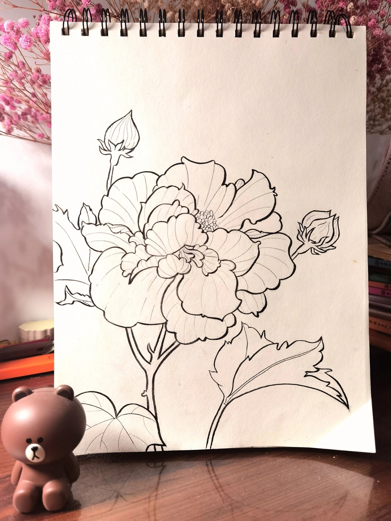 画画啦(11)|木芙蓉 芙蓉的花语是高尚纯洁,纤细之美.