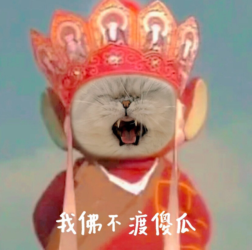 唐僧猫猫表情包