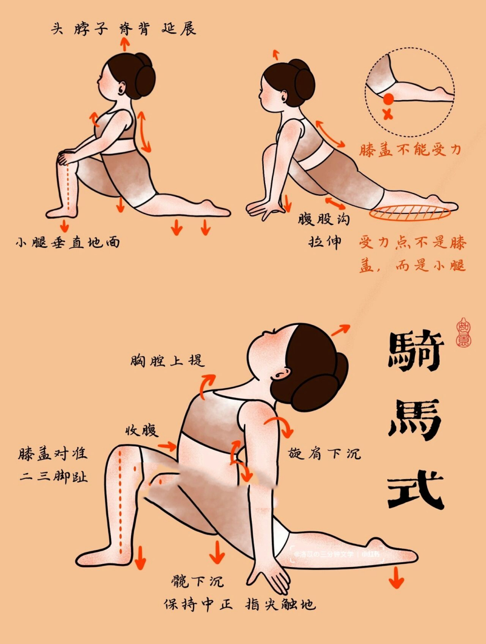 骑马式变体图片