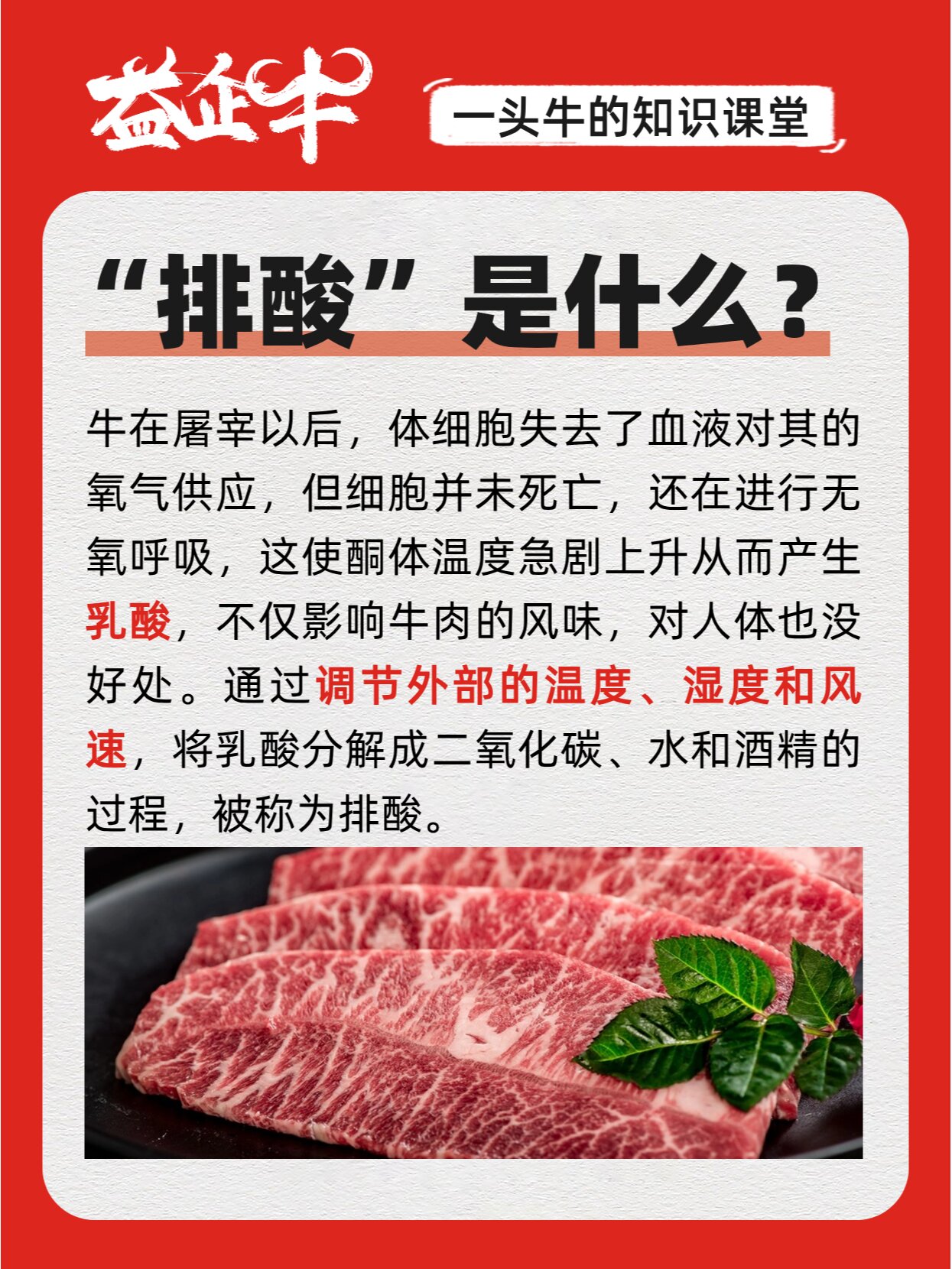 牛肉的单词图片