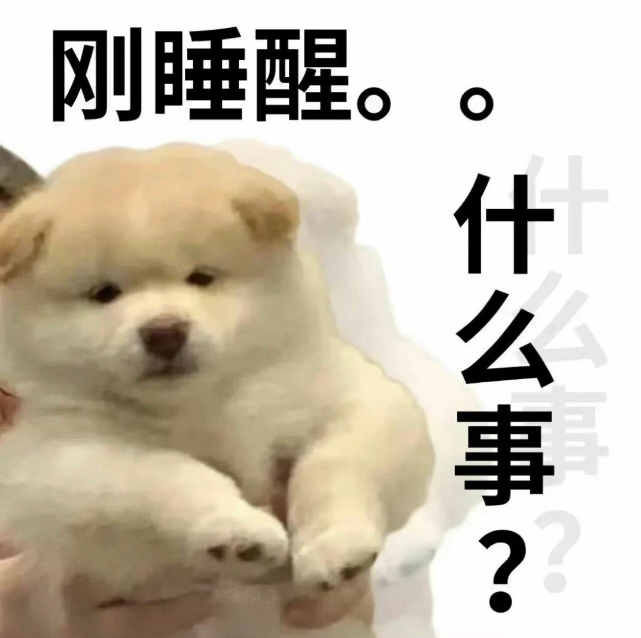 老6表情包第二弹 想要无水印表情包的私   非原创作者