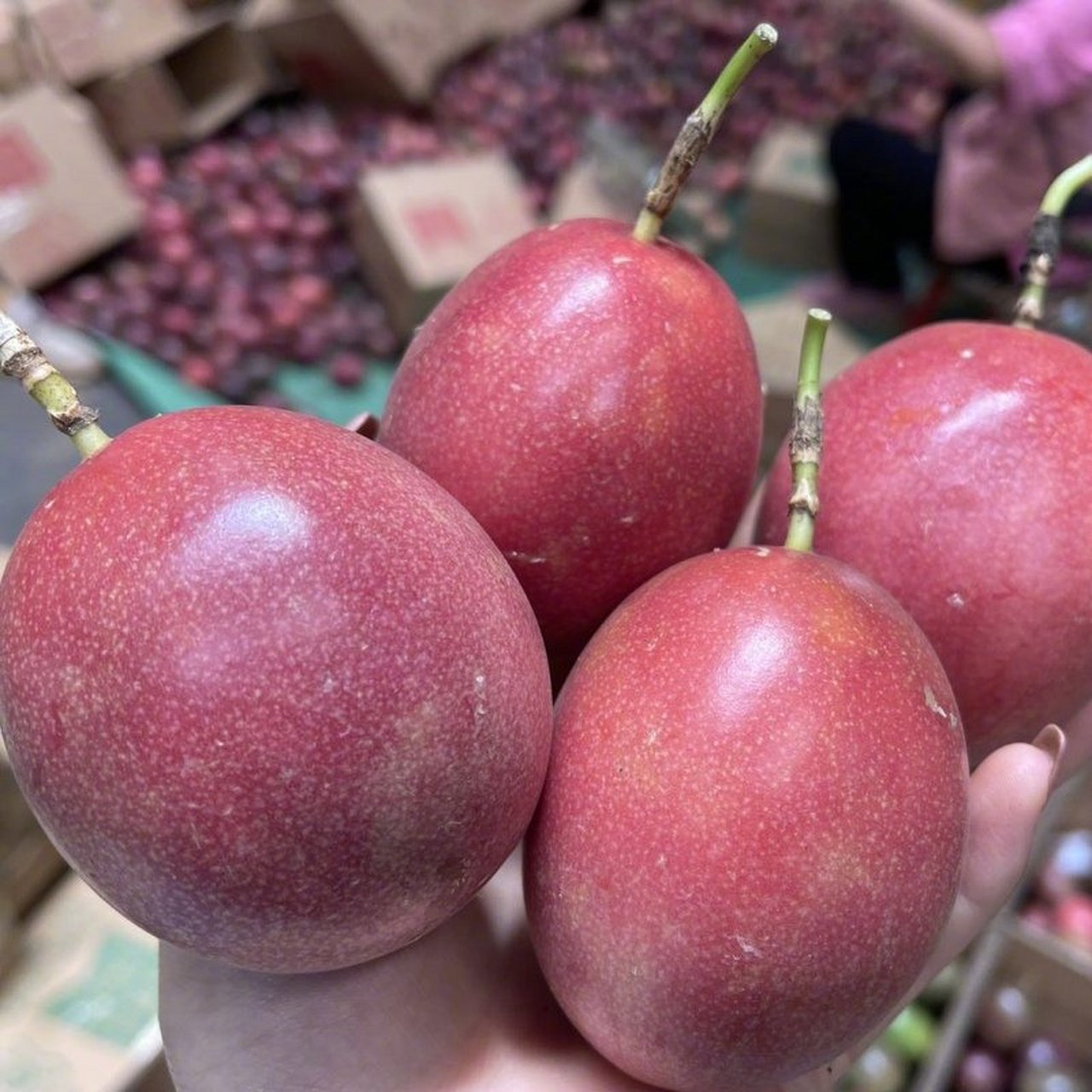 粉丝福利 | 海南君选 泰国傣蜜百香果 香气浓厚 怕酸慎拍 【推荐理由