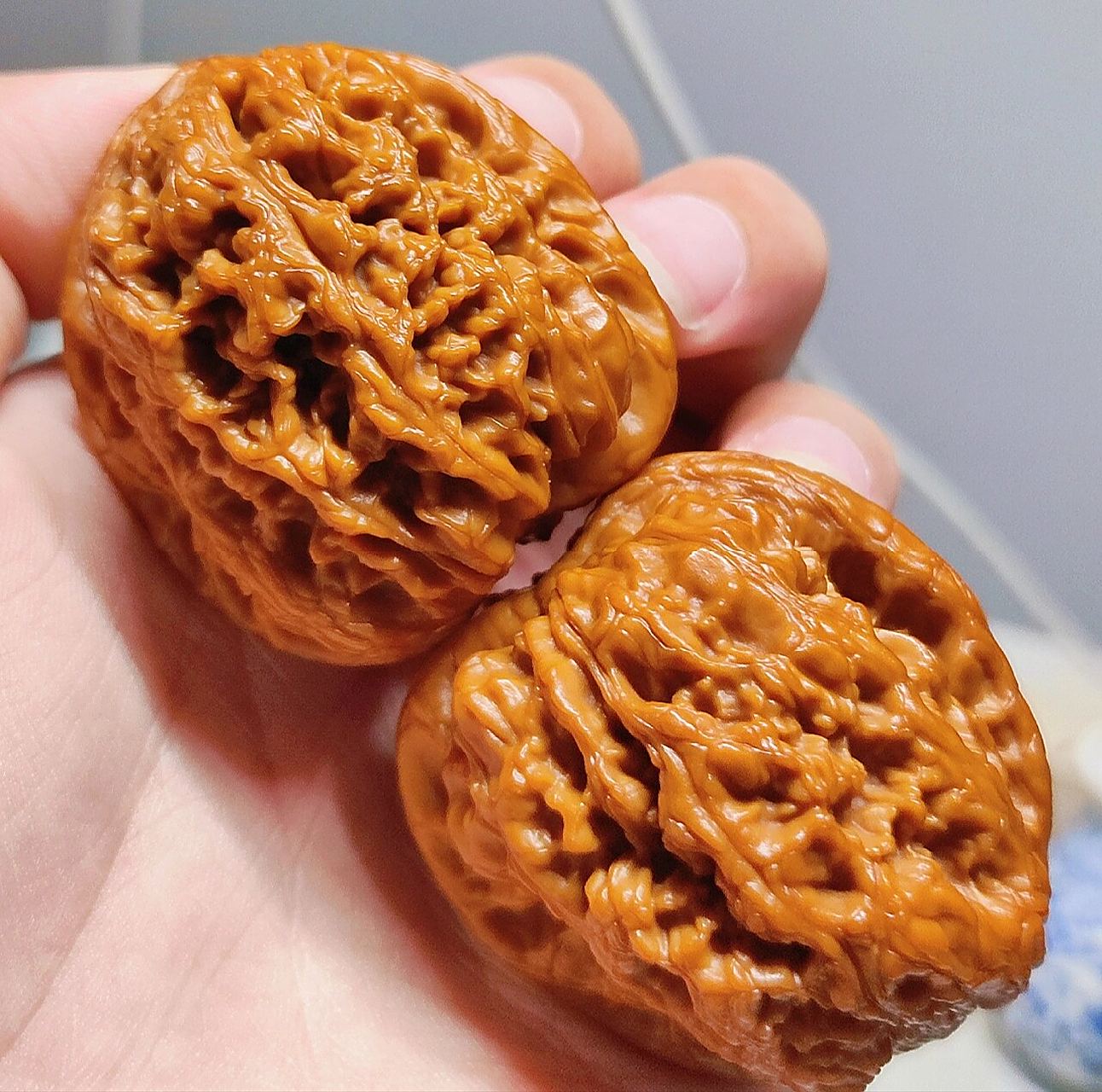 头部形状较接近,但身腰较长,尾部呈不规则形状.