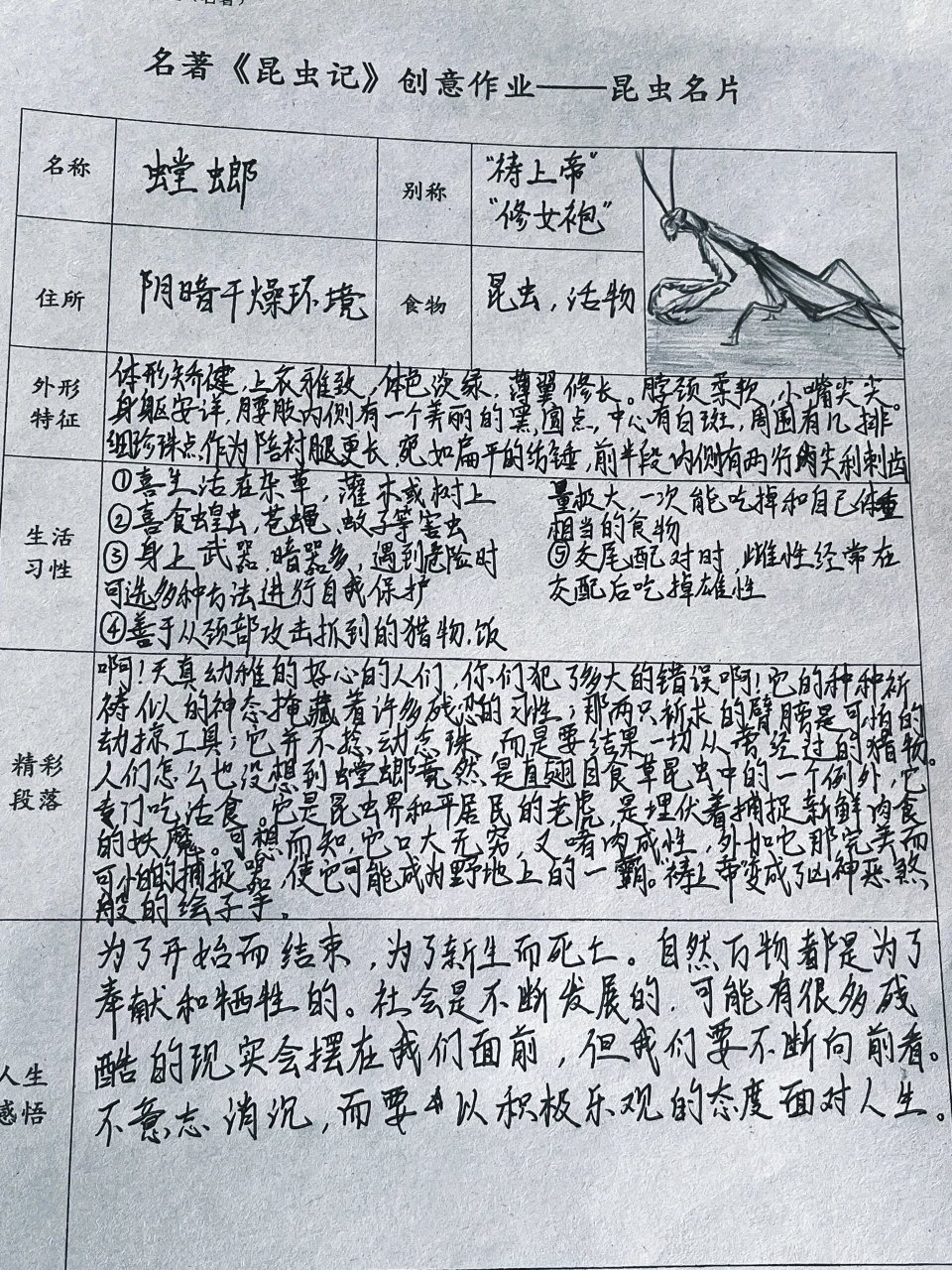 昆虫备忘录螳螂表格图片