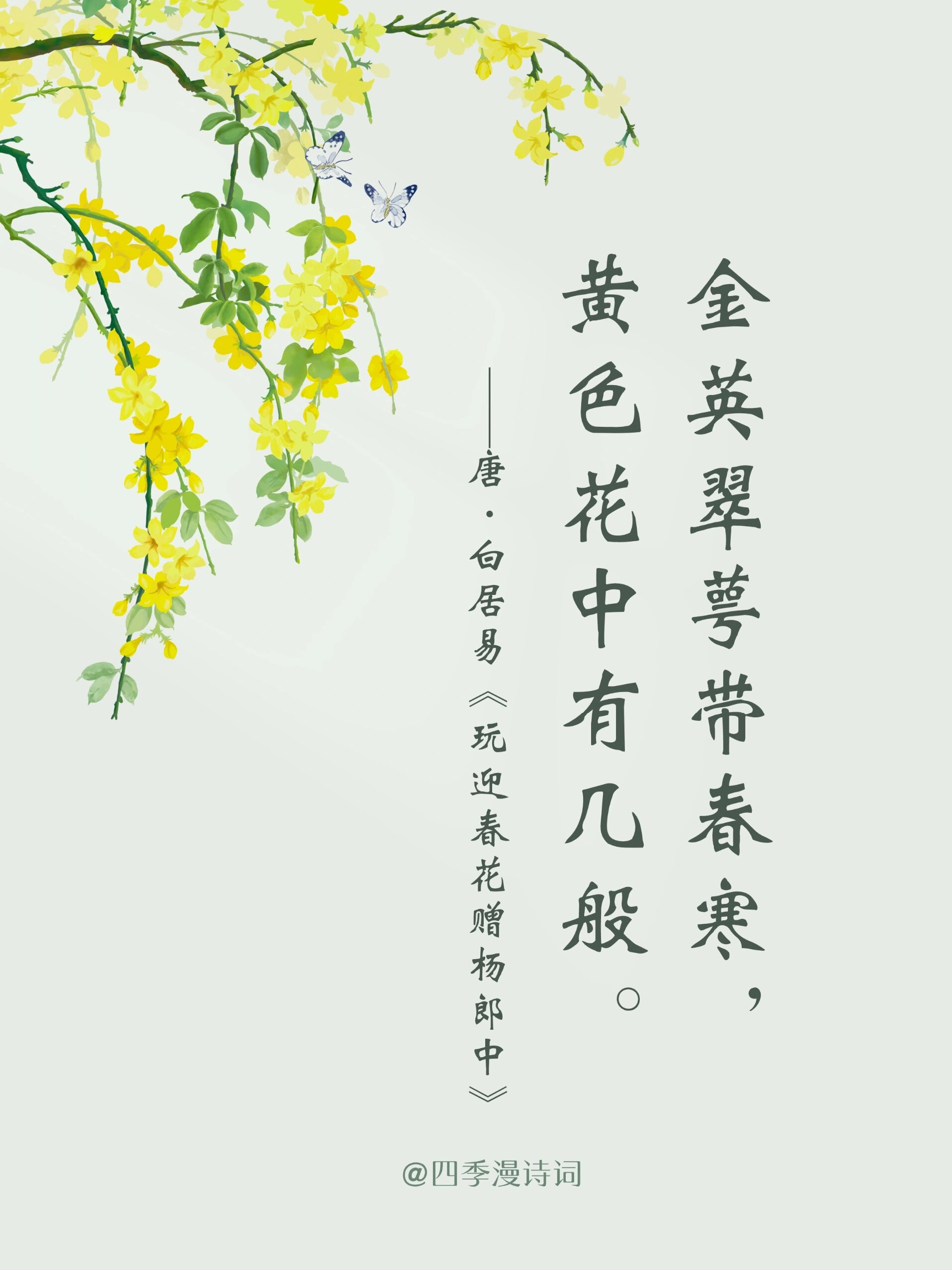 料峭春寒 大地还没有完全从寒冬中苏醒 迎春花在微寒的春风中悄然绽放