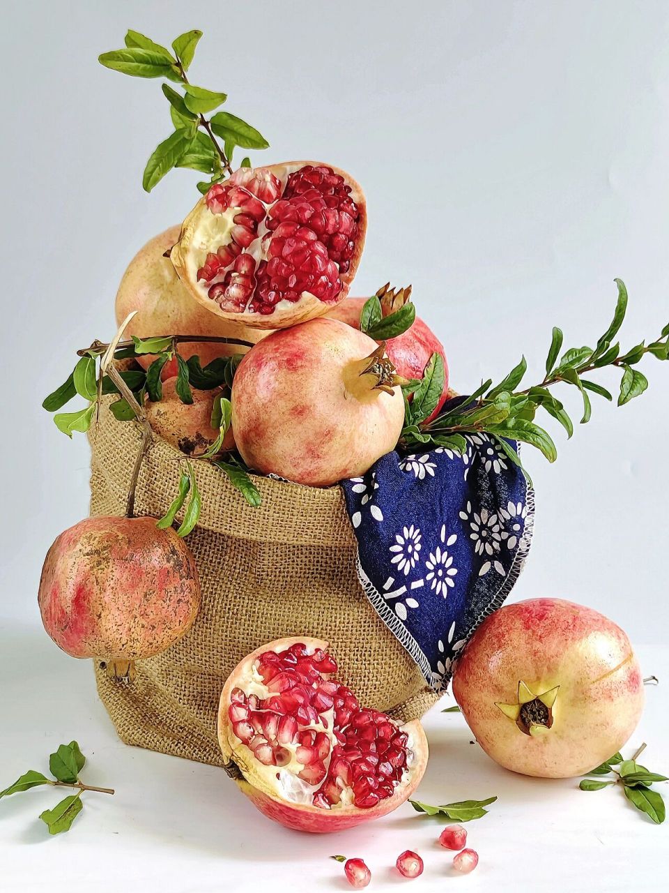1000张美术生静物素描合集分享 | 石榴 多子多福