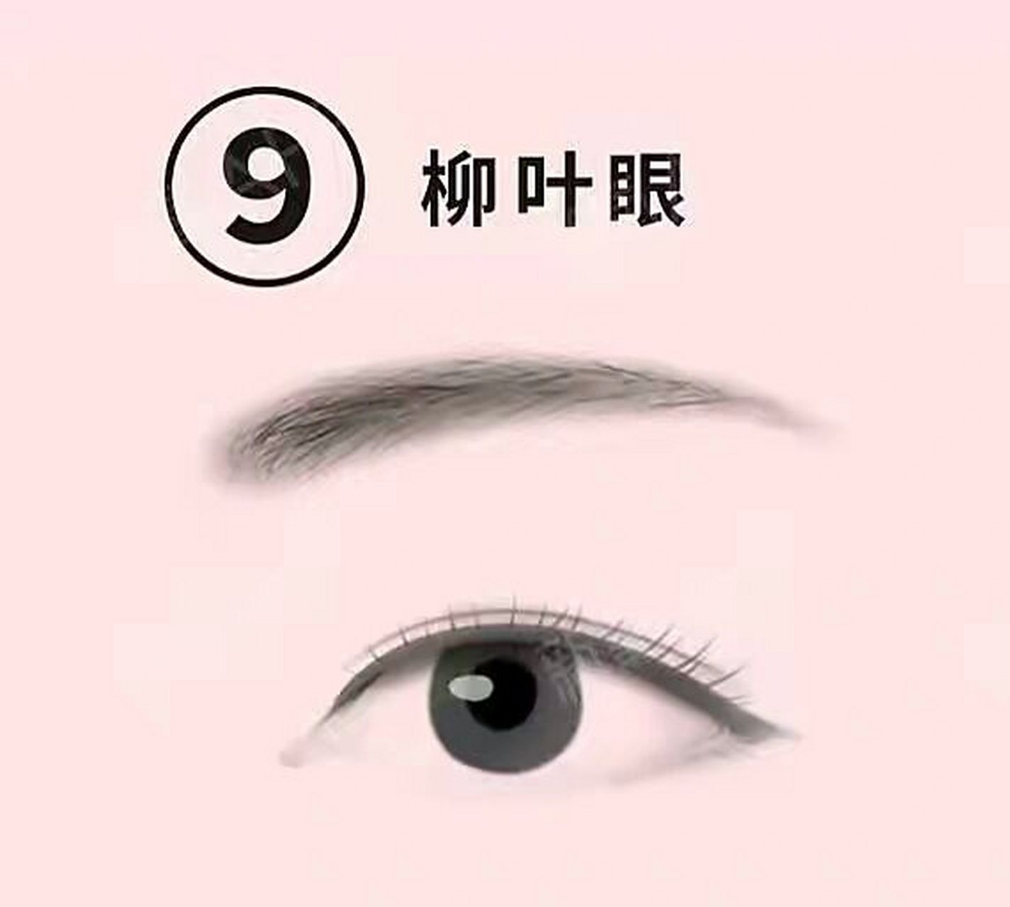 柳叶眼的主要特点 柳叶眼主要特色内外眼角都尖但双眼皮和杏眼一样呈