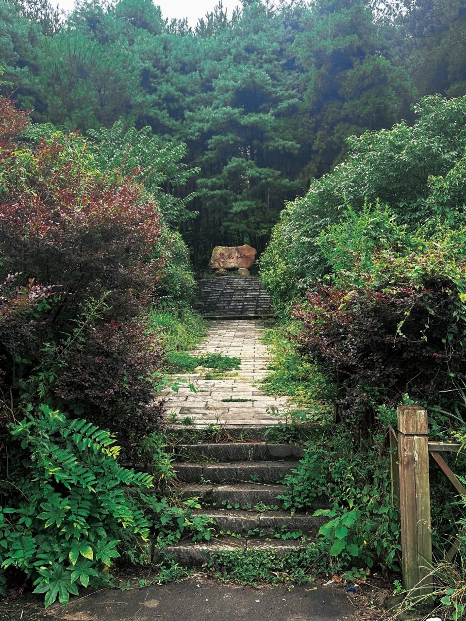 盘龙山森林公园 是谁在雨季爬山结果被滑死91 是我919191