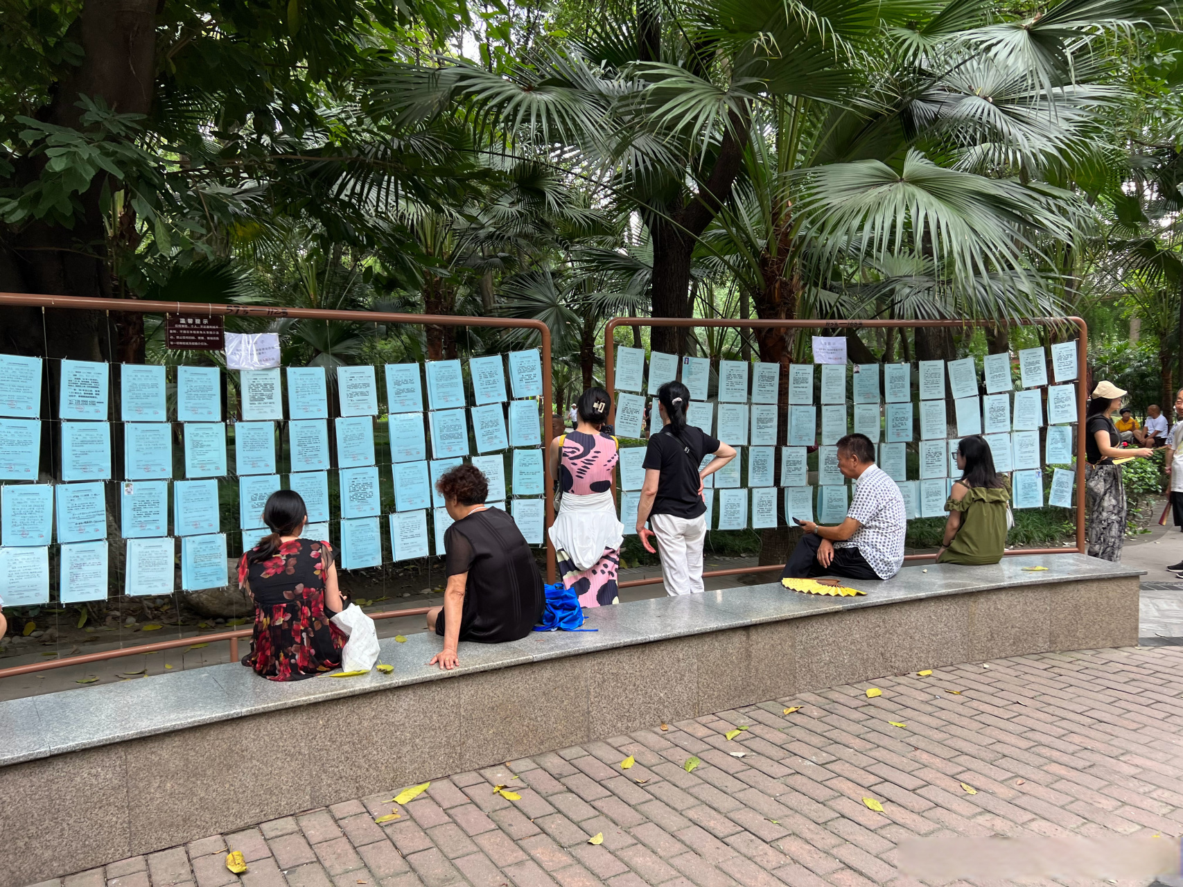 是不是每个城市人民公园都有火爆的"相亲角"