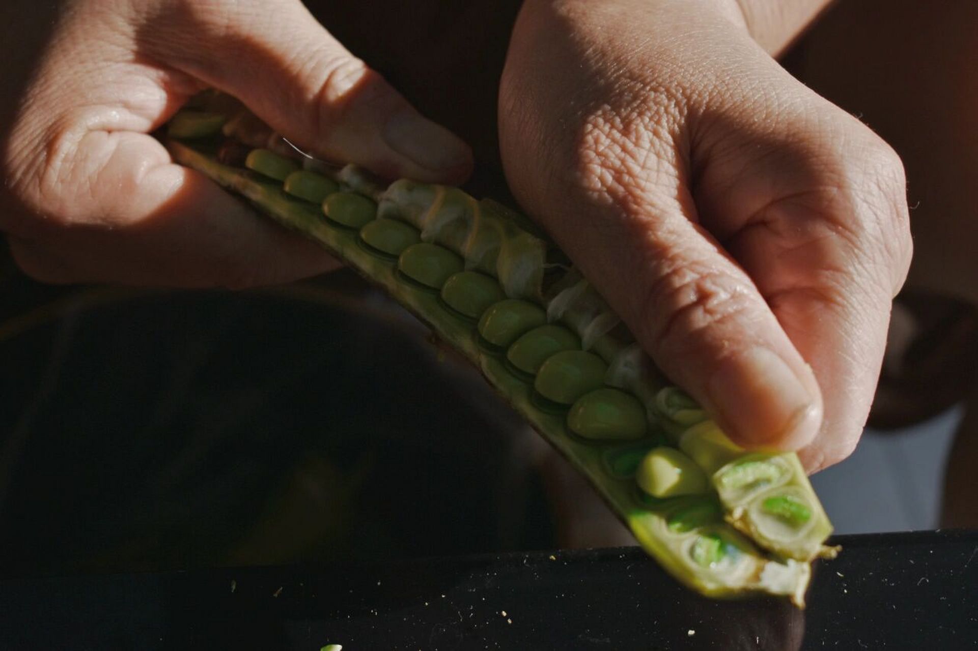 一颗皂角米的诞生 疫情在家出不去,在小区发现有几颗皂角树 摘了一些