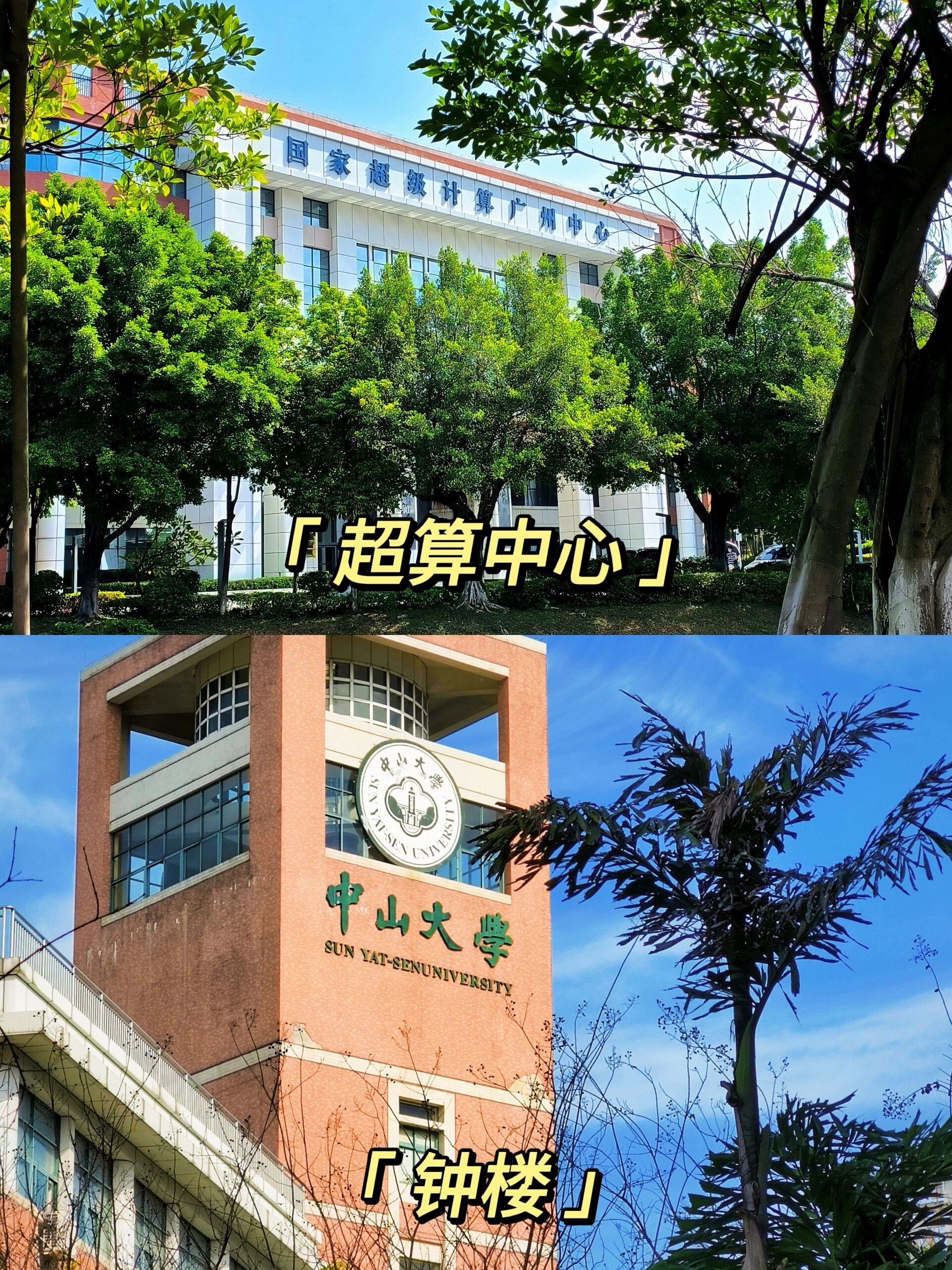 中山大学东校区环境图片