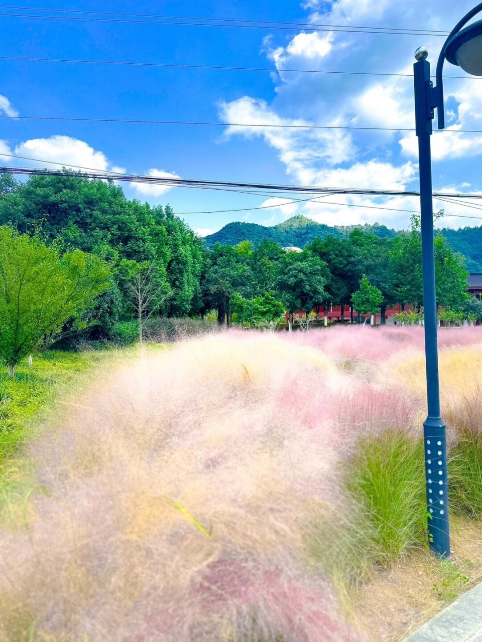 十一去哪玩儿71宁海上金谷值得去吗71 人少是真的,这点儿挺好