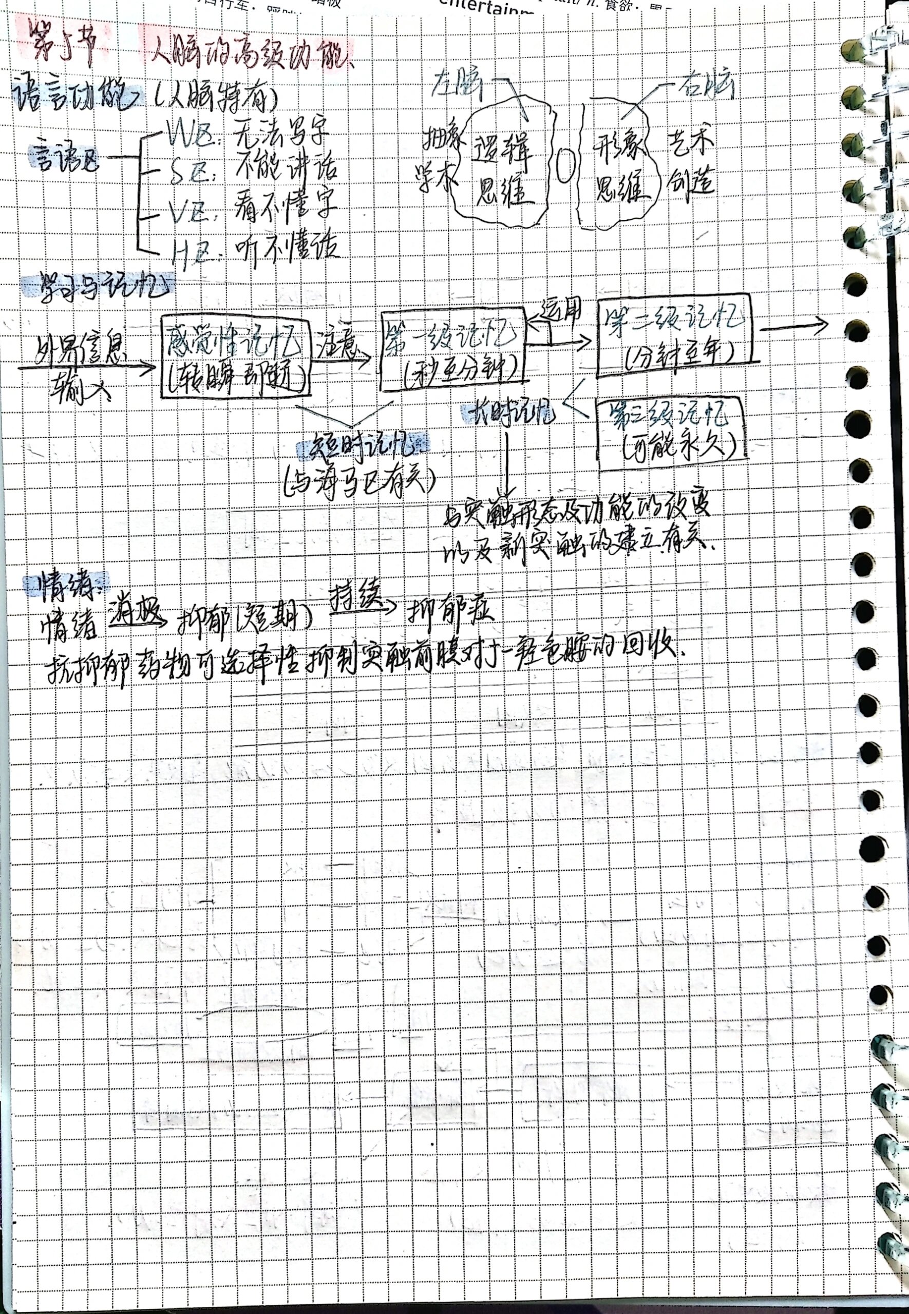 高中生物选修一第二章思维导图来啦