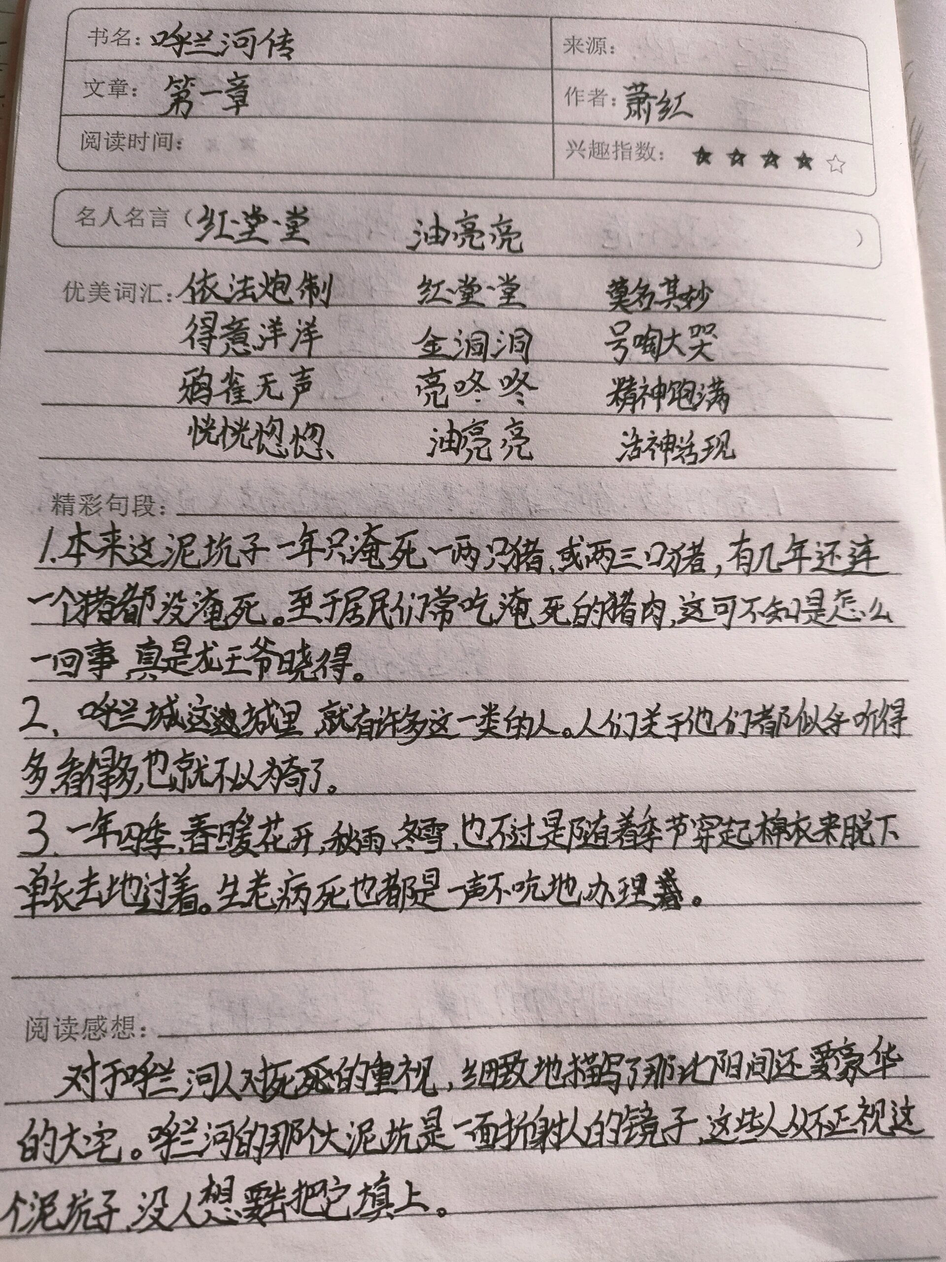 呼兰河传读书笔记