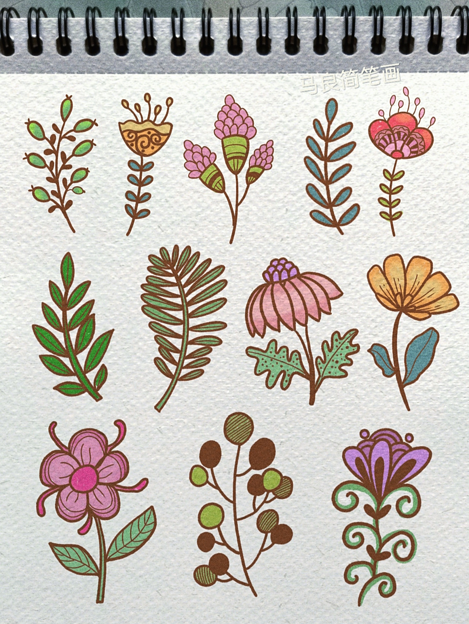 简笔画|各种花卉植物简单花朵手绘手帐素材 零基础绘画|简笔画教程