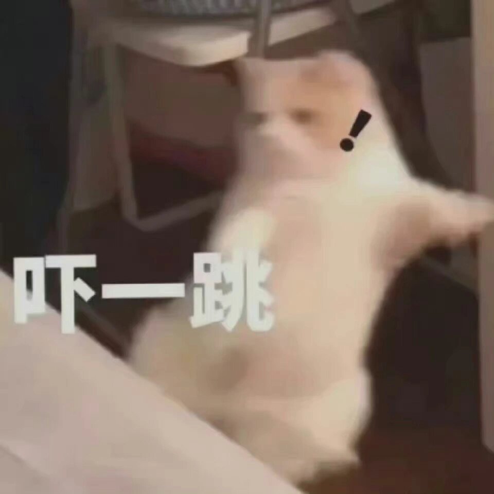 震惊猫猫头表情包 震惊猫猫头表情包 关注小羊 持续更新