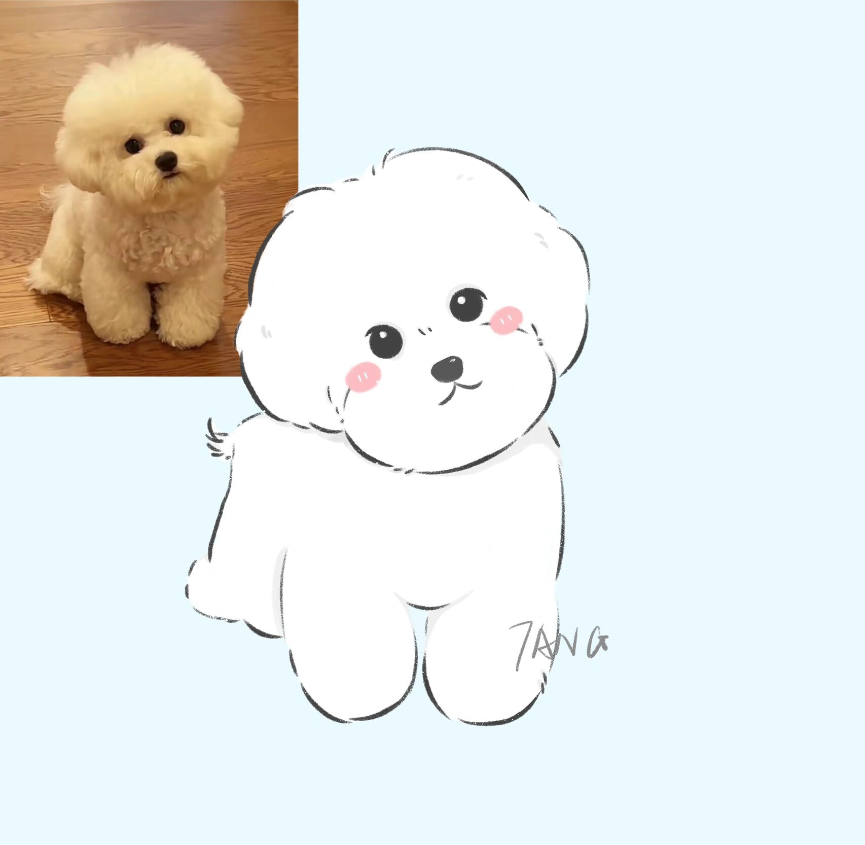 手绘一只小比熊