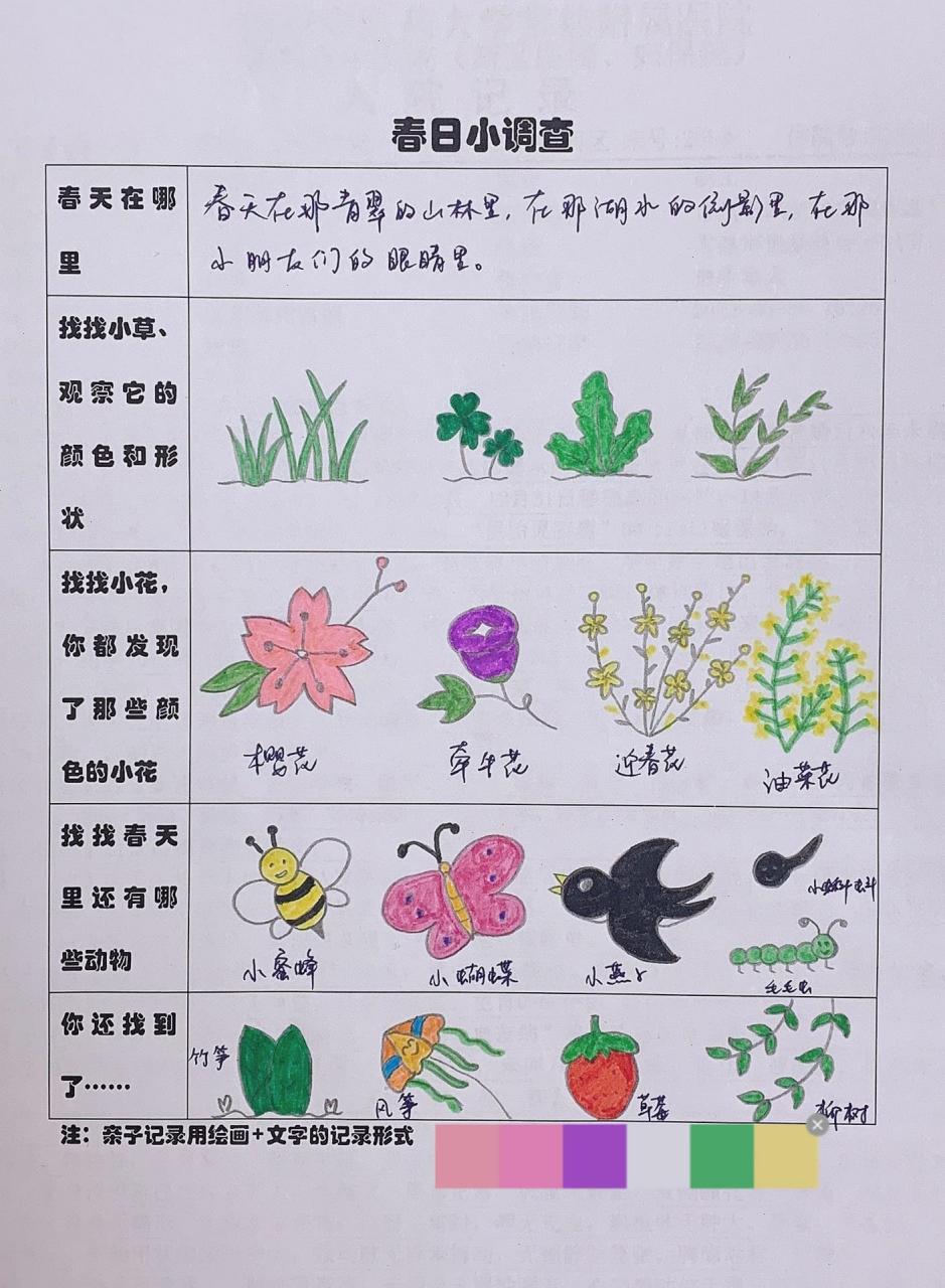 幼儿园作业之春日小调查 春天来了,幼儿园老师又给我布置了新的任务