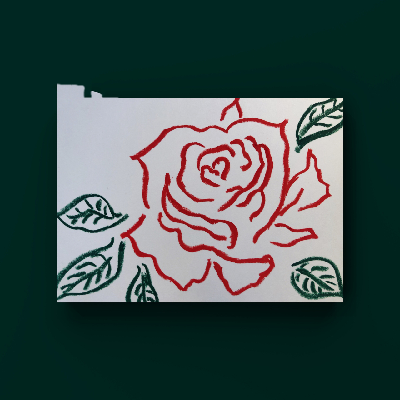 油画棒 | ins风 红玫瑰 简笔画速涂 78 谁都不能阻止一朵花的绽放