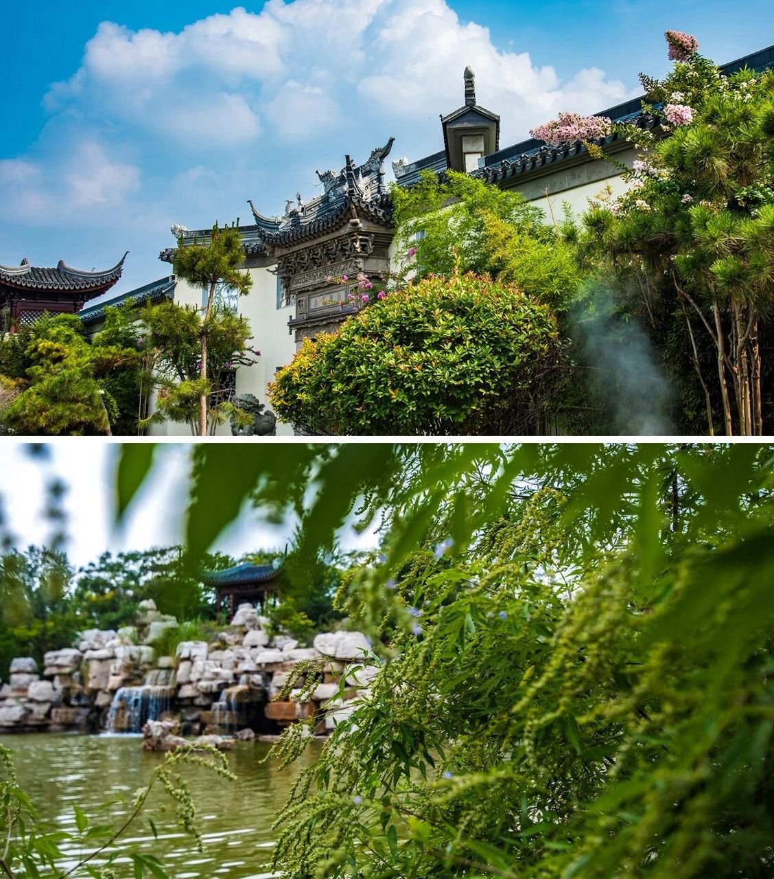 聊城旅行不要错过|苏州园林般的宛园 聊城旅行的新晋的网红打卡点宛园