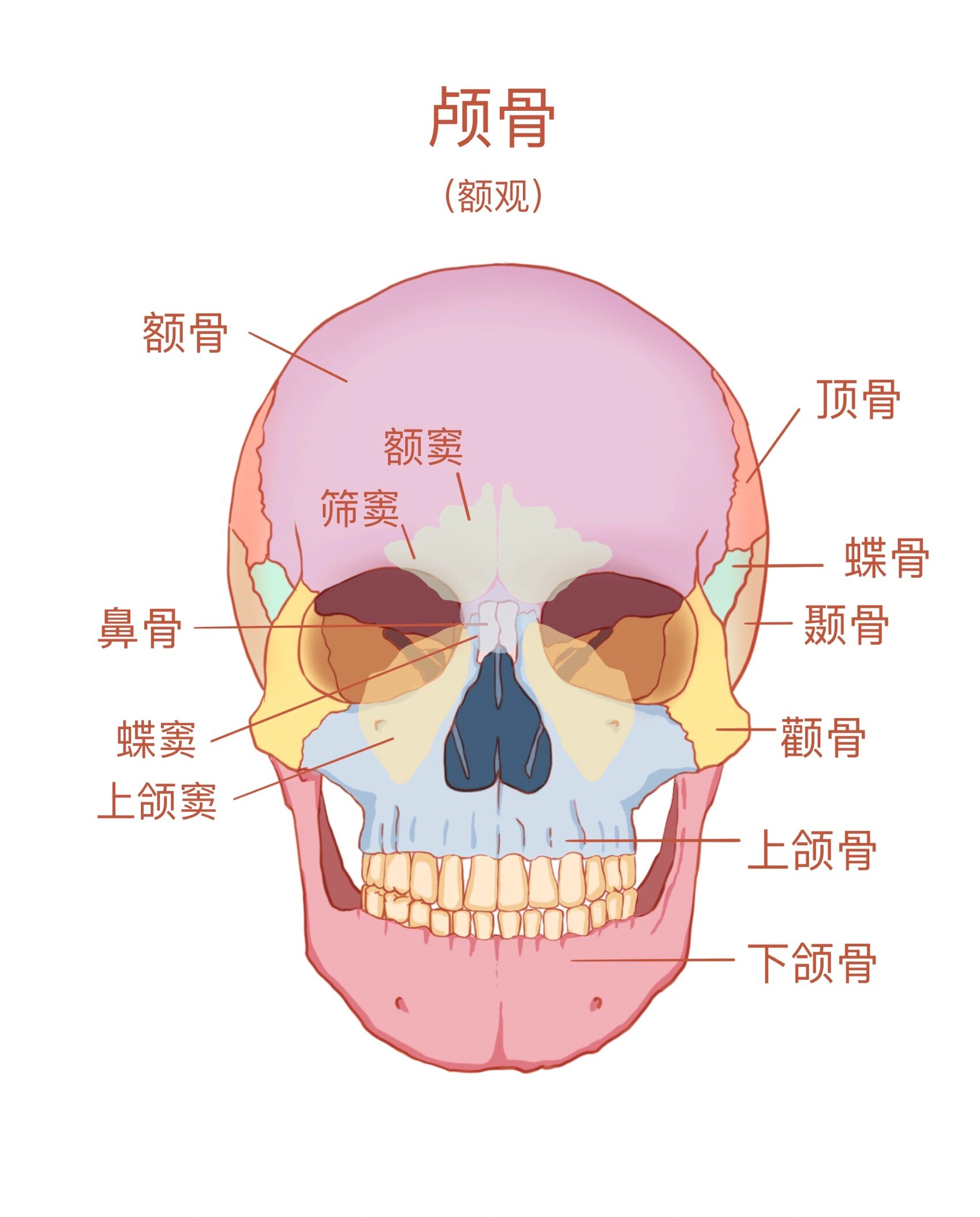 教材插画