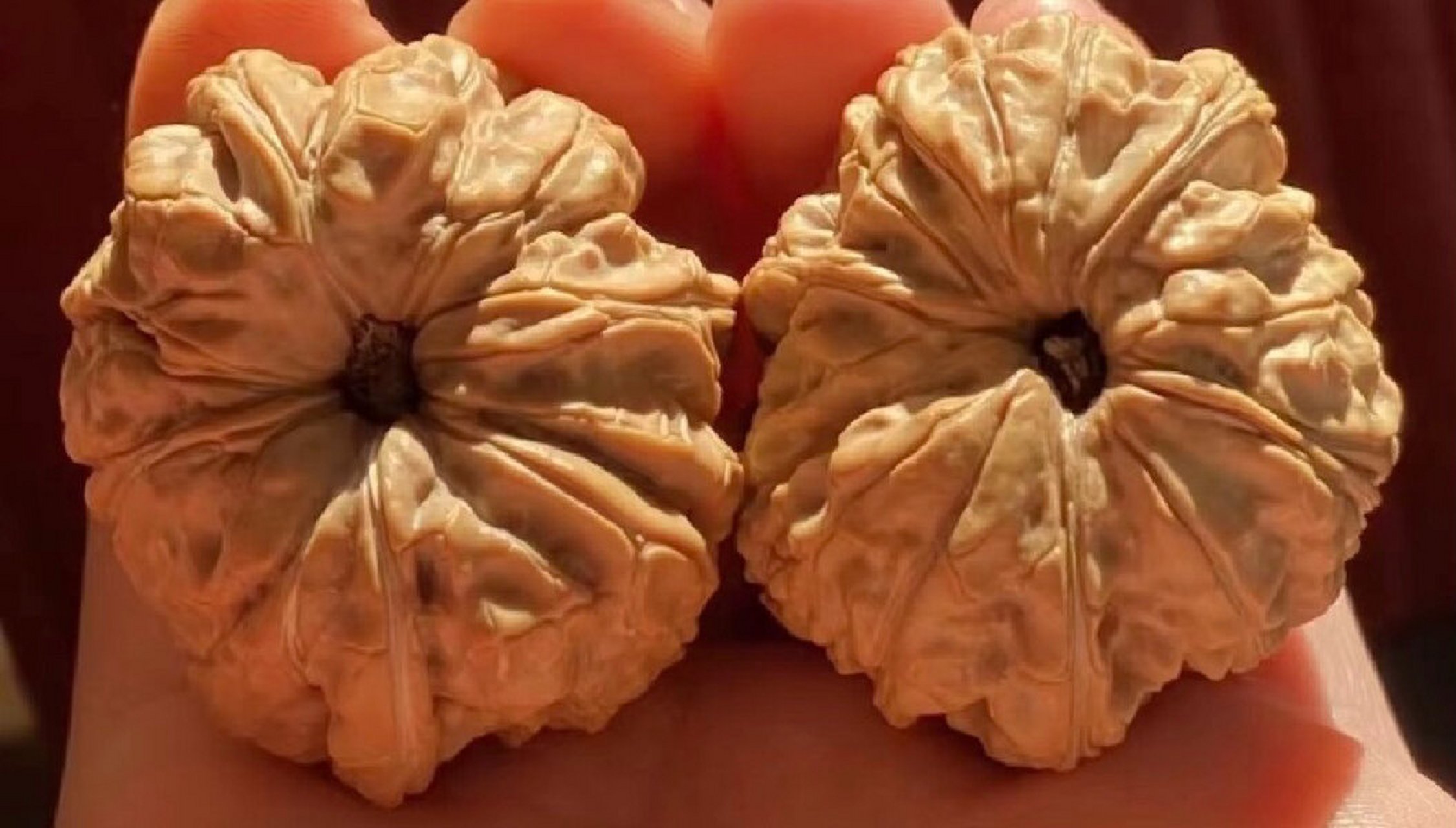 正好找到三棱吞金兽核中巨无霸--闷墩(门墩) 这款核桃火起来和王勇