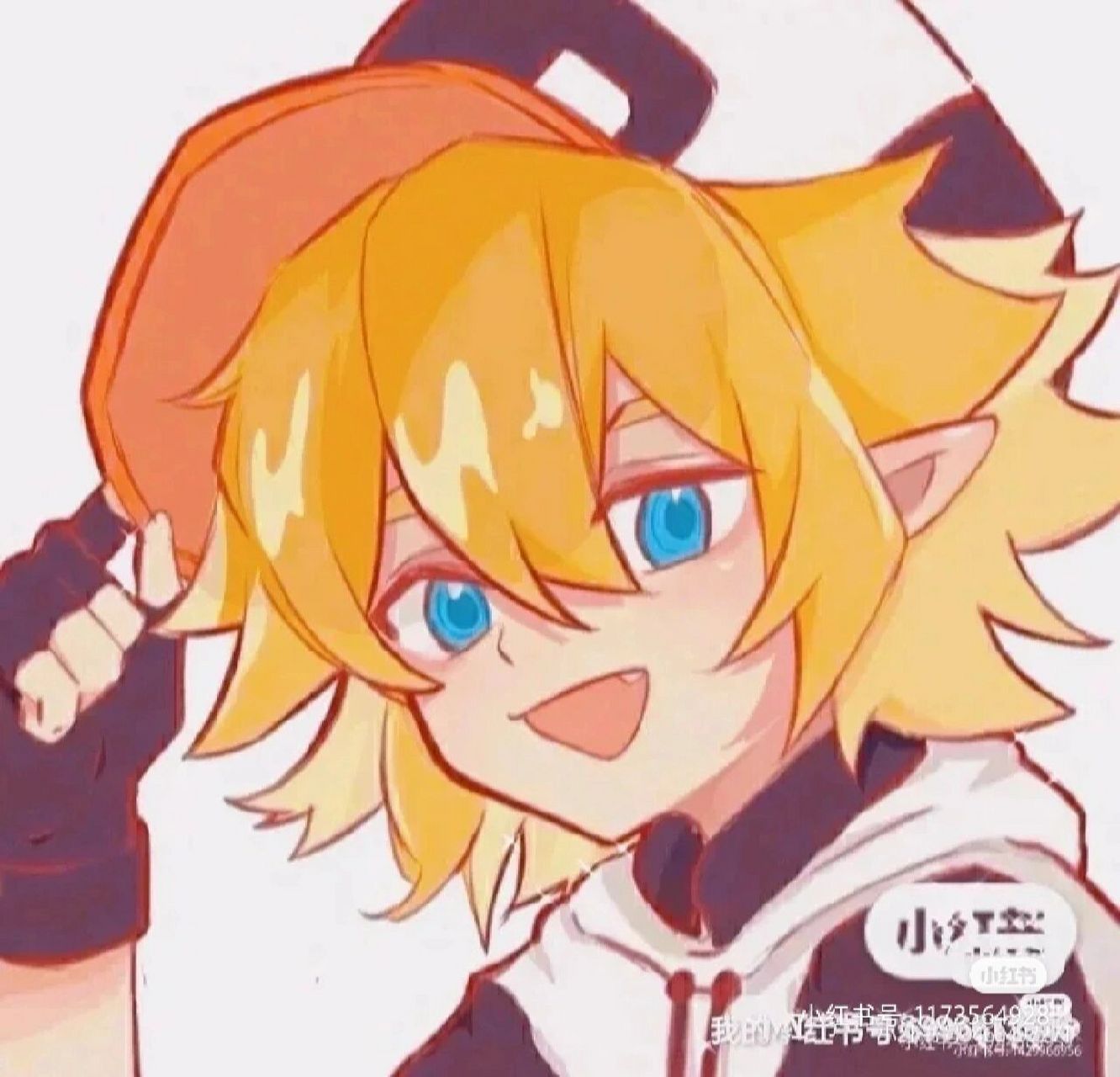 金的可爱的图片来了 请谨慎拿图