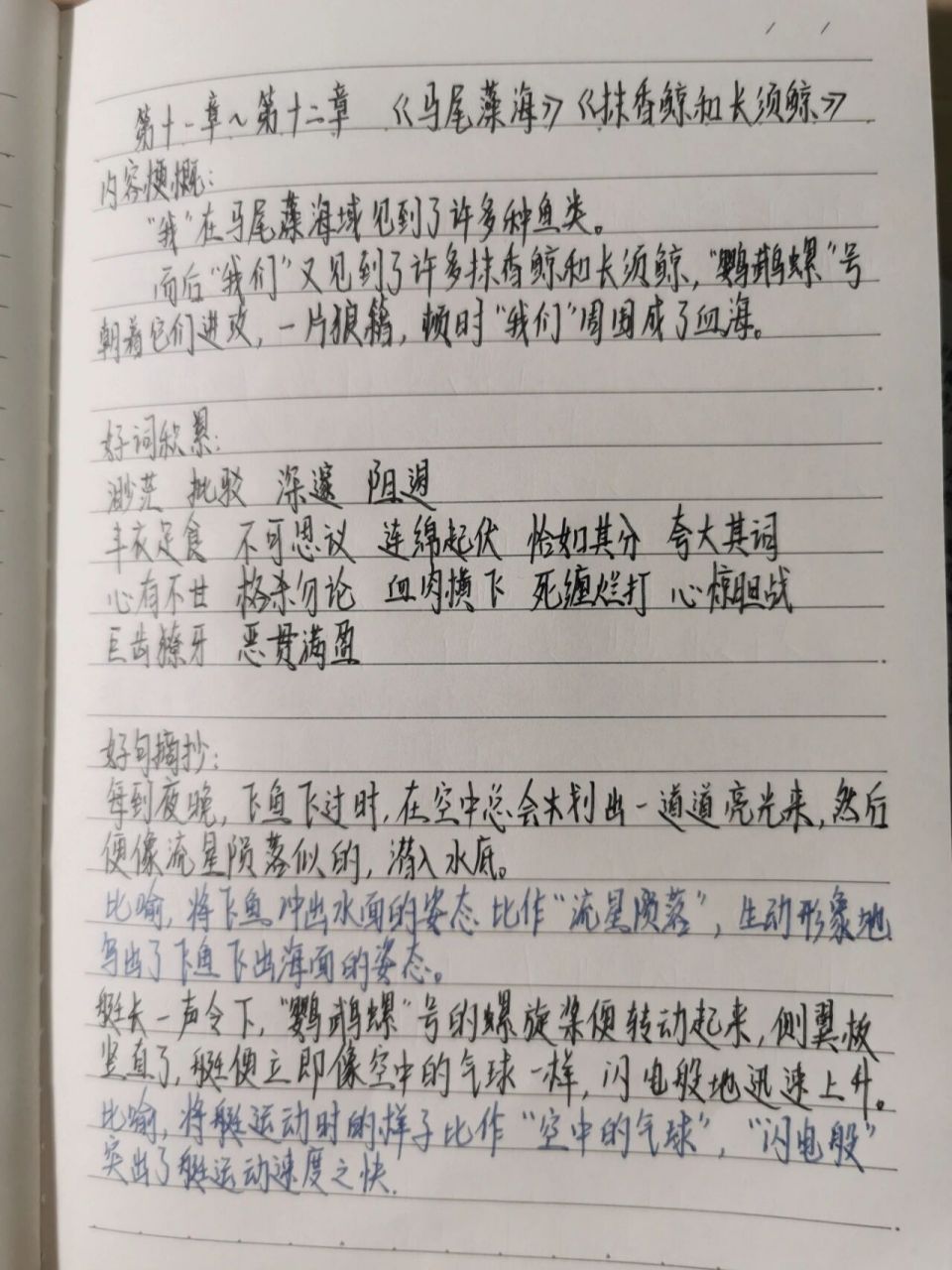 海底两万里 (二)第十一～十二章 读书笔记 《马尾藻海》《抹香鲸和
