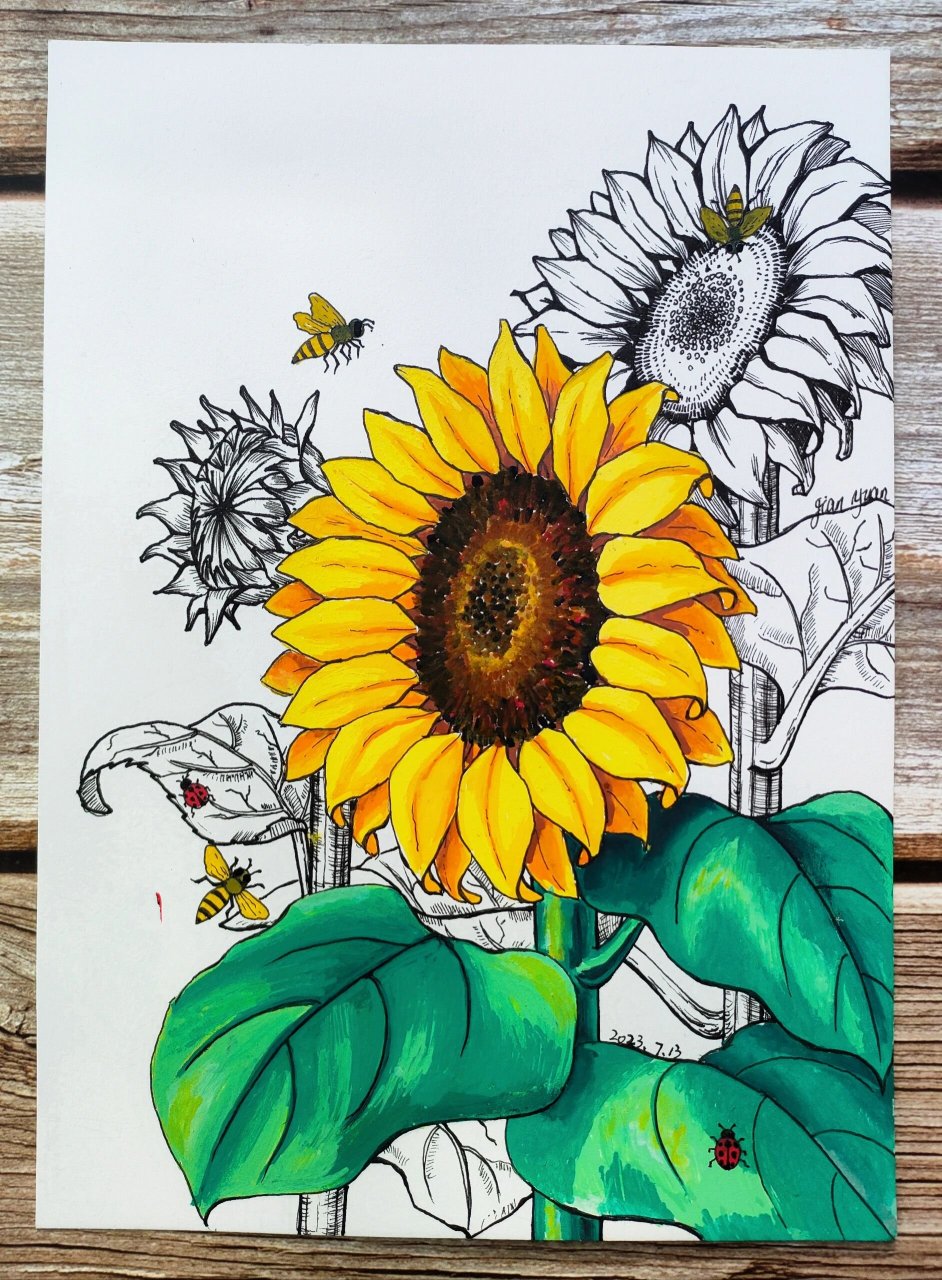 向日葵绘画丙烯马克笔线描蜜蜂装饰画原创 谁能拒绝热情似火的向日葵
