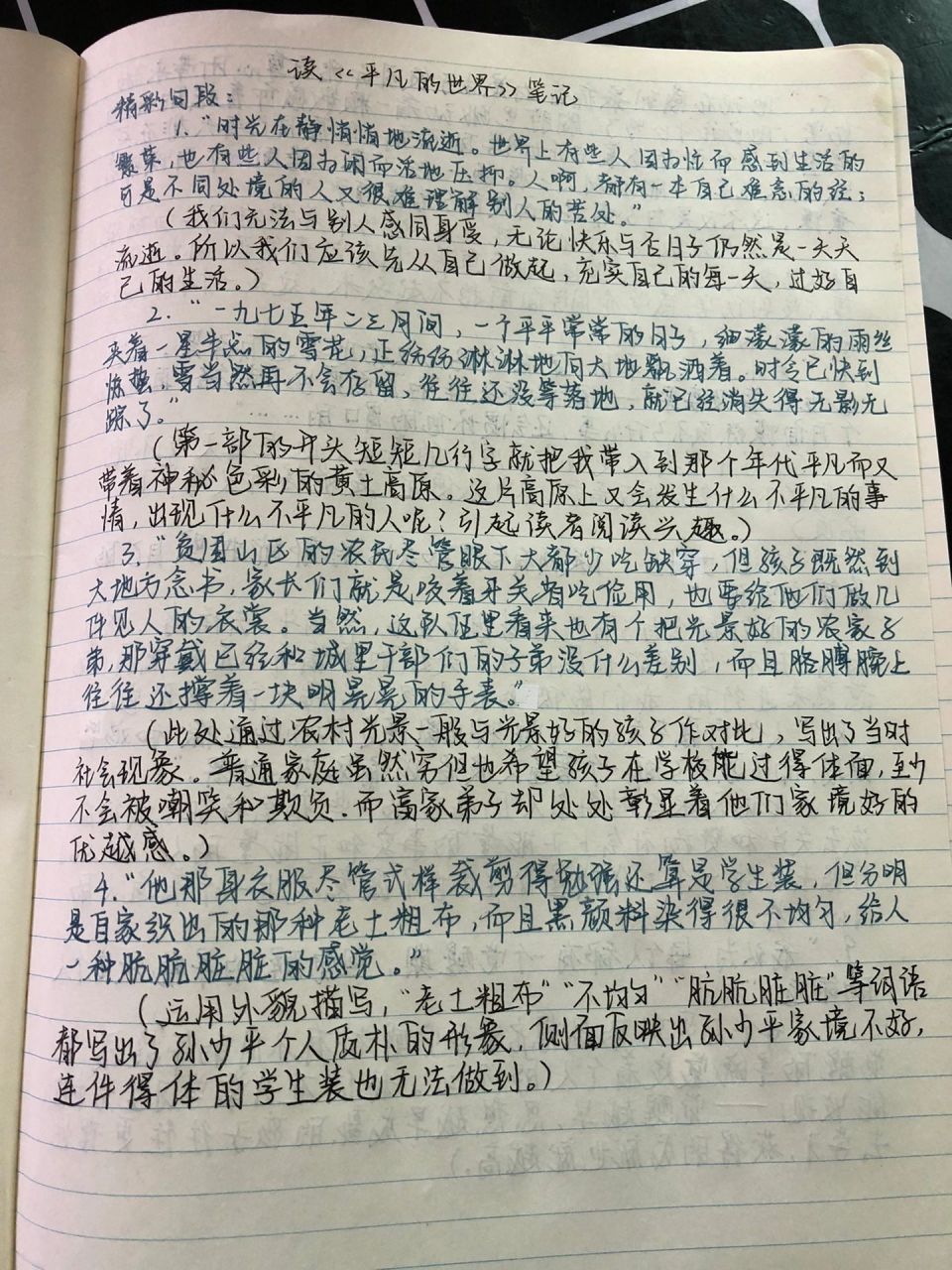 《平凡的世界》精彩句段摘抄赏析 摘抄和赏析