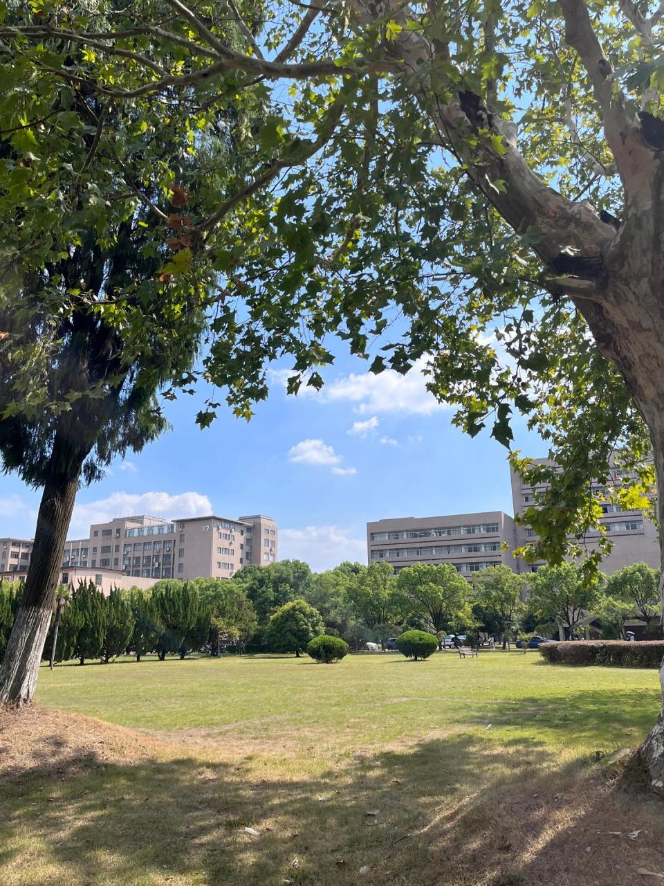 浙江师范大学|校园生活 浙师小教考研 分享一些浙师美景  欢迎学弟