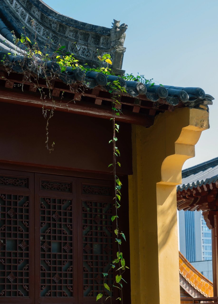 芜湖 | 广济寺 | 角落版 现在去寺庙,更喜欢寻找一些角落,不知有无
