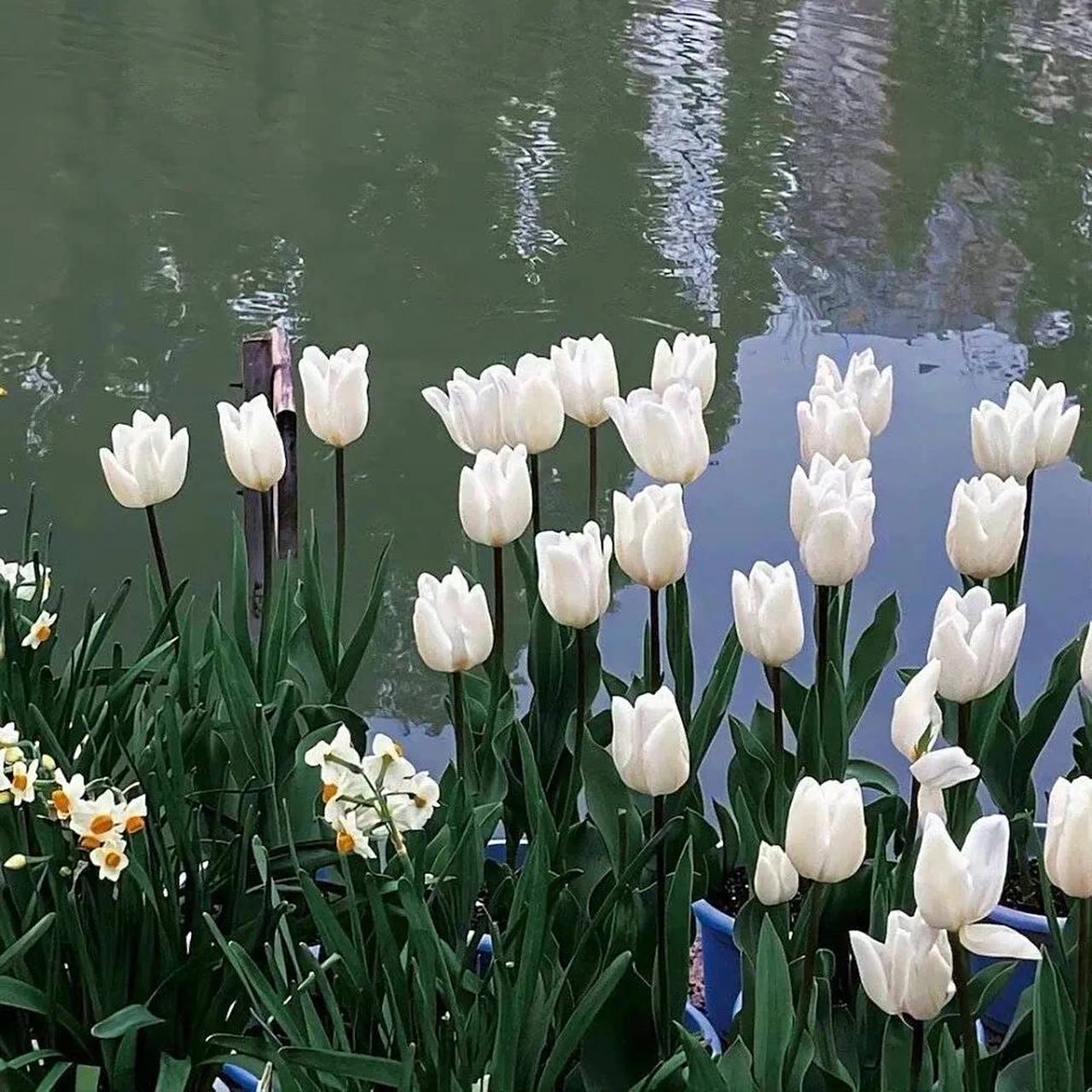 朋友圈干净简约背景图很难不爱 喜欢的宝留言