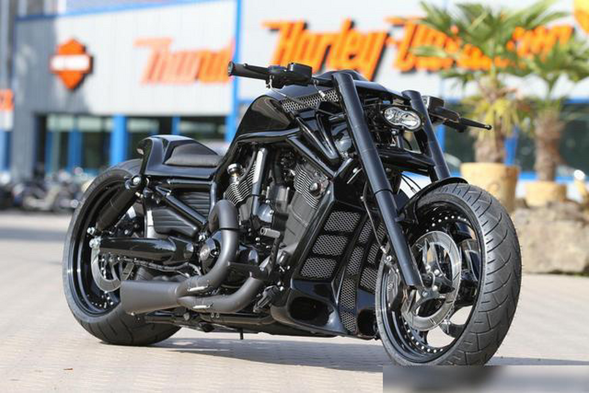 哈雷!夜路德改装案例!