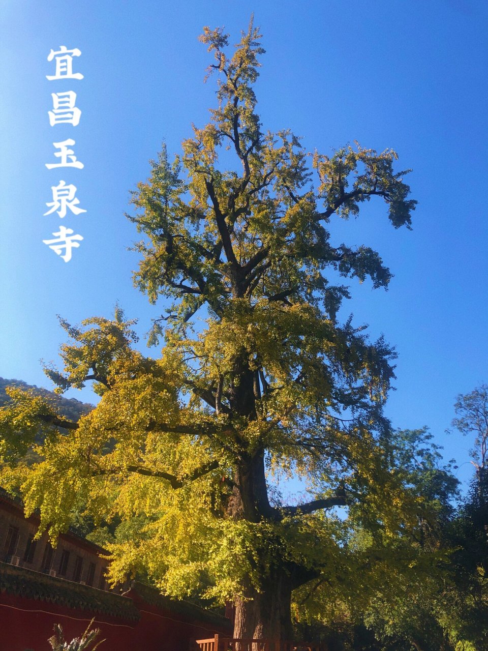 当阳旅游景点介绍图片