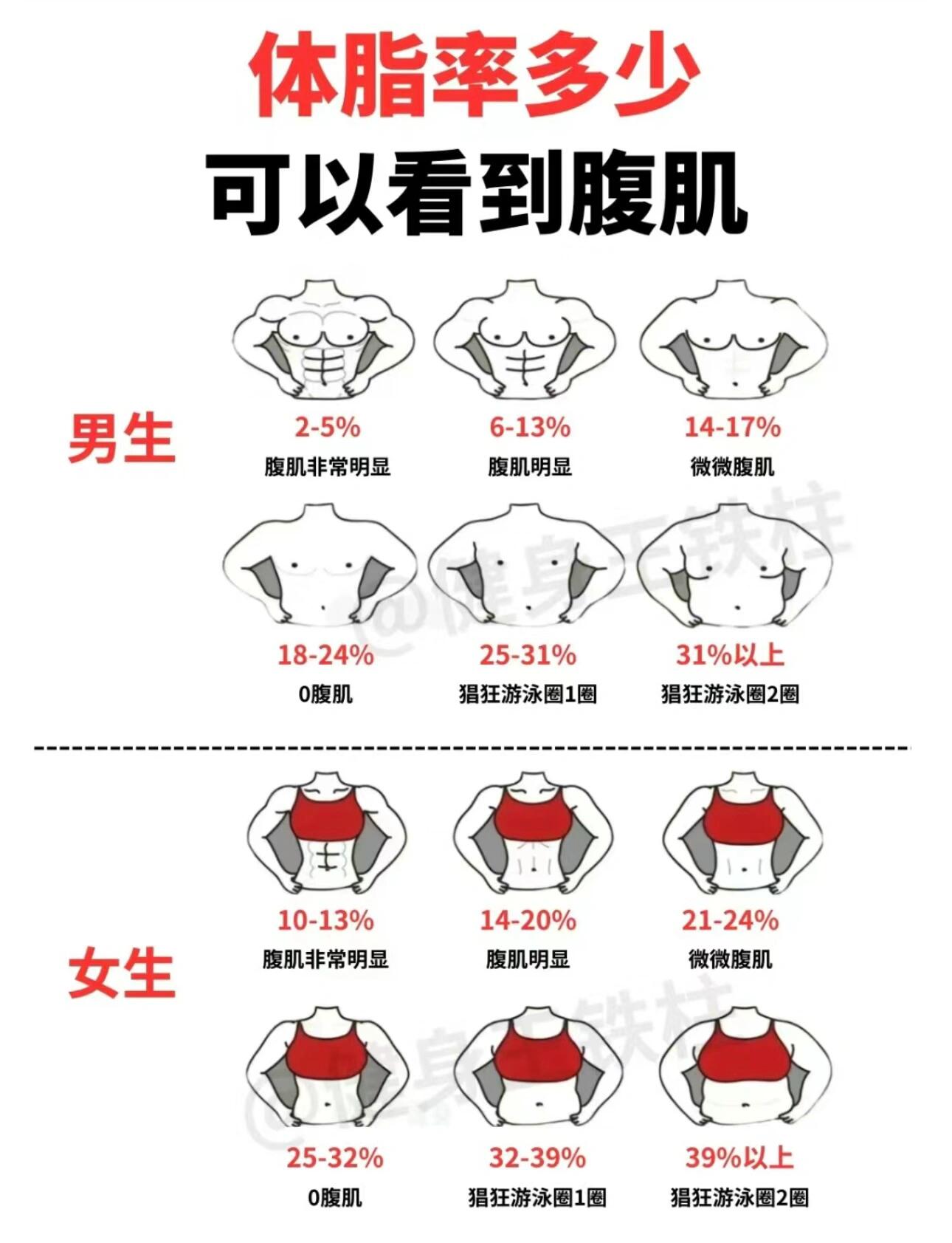 男生练腹肌跟女生练马甲线有区别吗 男生练腹肌跟女生练马甲线有一