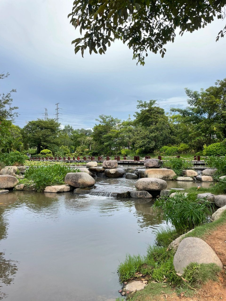 松岗有什么好玩的? 打卡燕罗湿地公园