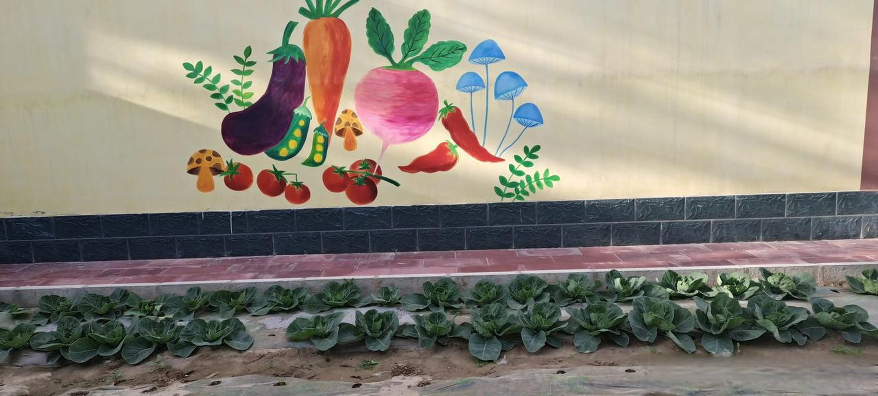 他们会告诉你他们如果学医会研究什么,长生不老之药