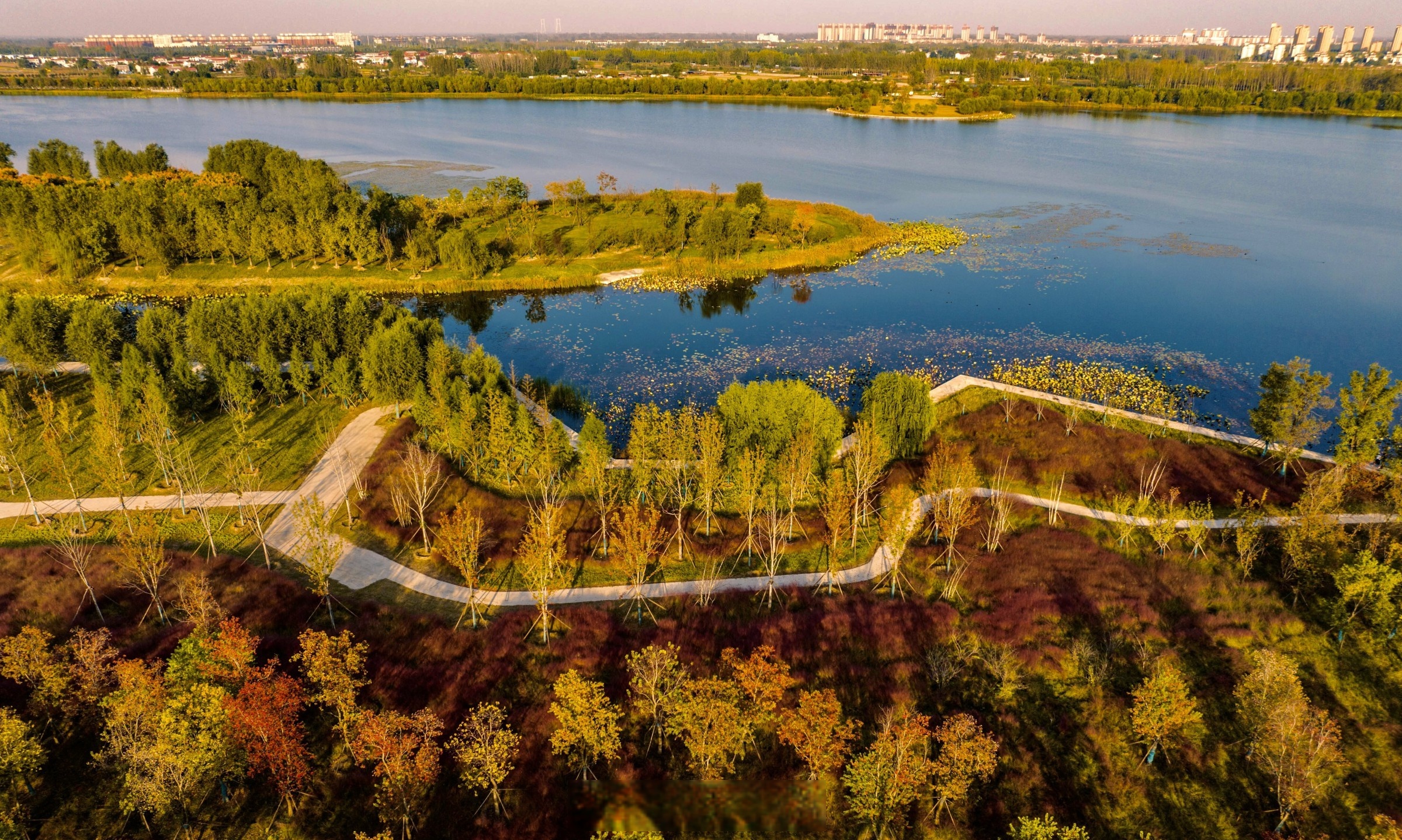 快来邂逅郑州市中牟县秋日美景吧~