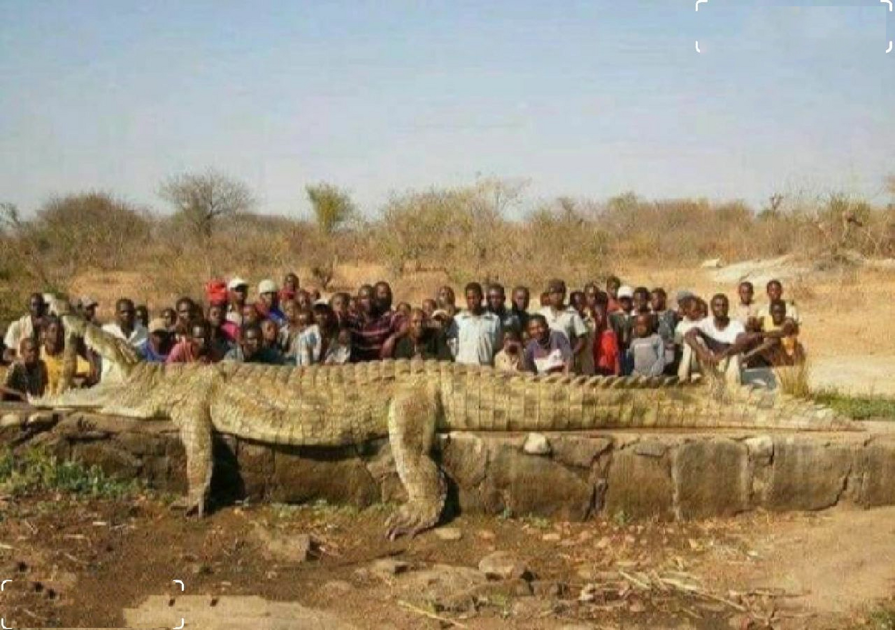 世界上最大的鳄鱼