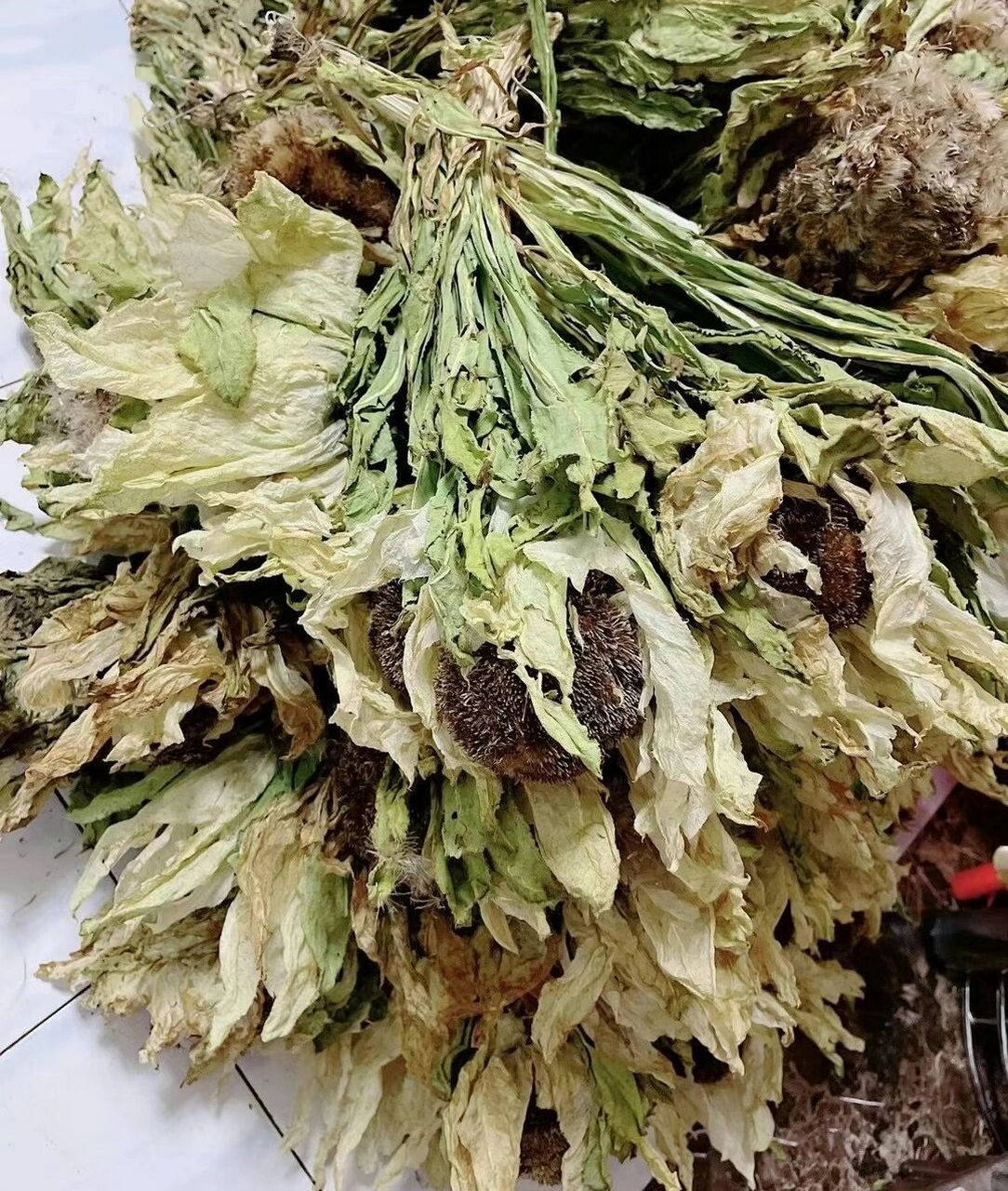 干雪莲花的功效 雪莲花苦燥温通,甘而能补,既能祛风湿,又能补肝肾,强