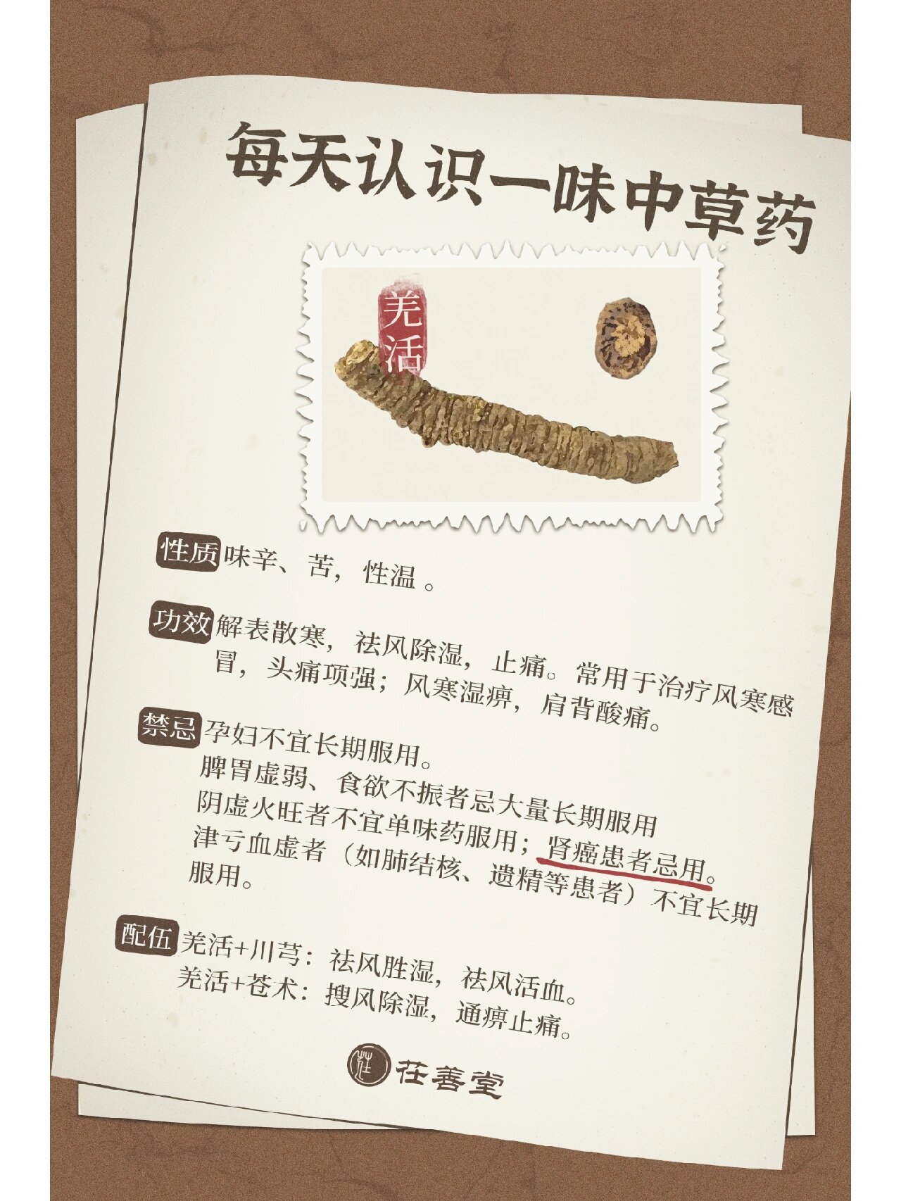 每天认识一味中草药|羌活78 羌活别名退风使者,护羌使者,是祛除寒湿