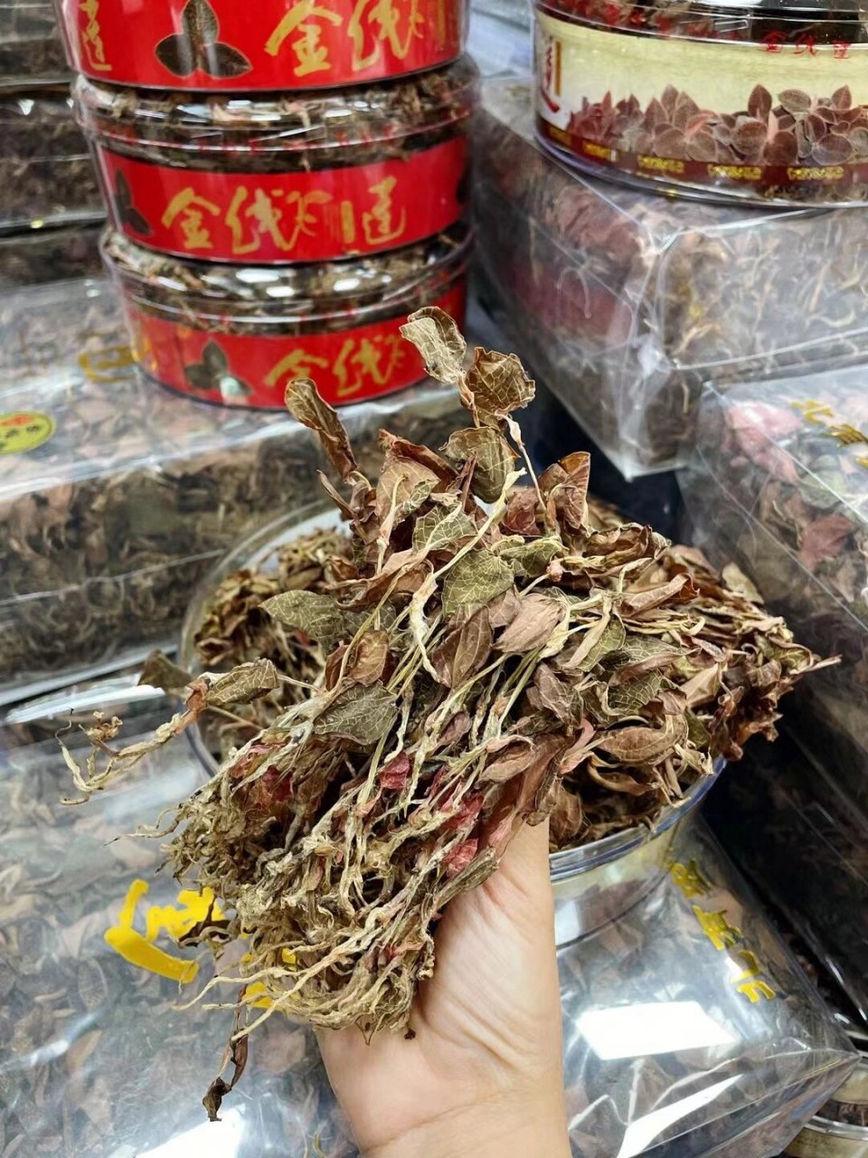 金线莲的功效与做用 顶级福建金线莲|50g / 100g装一盒!