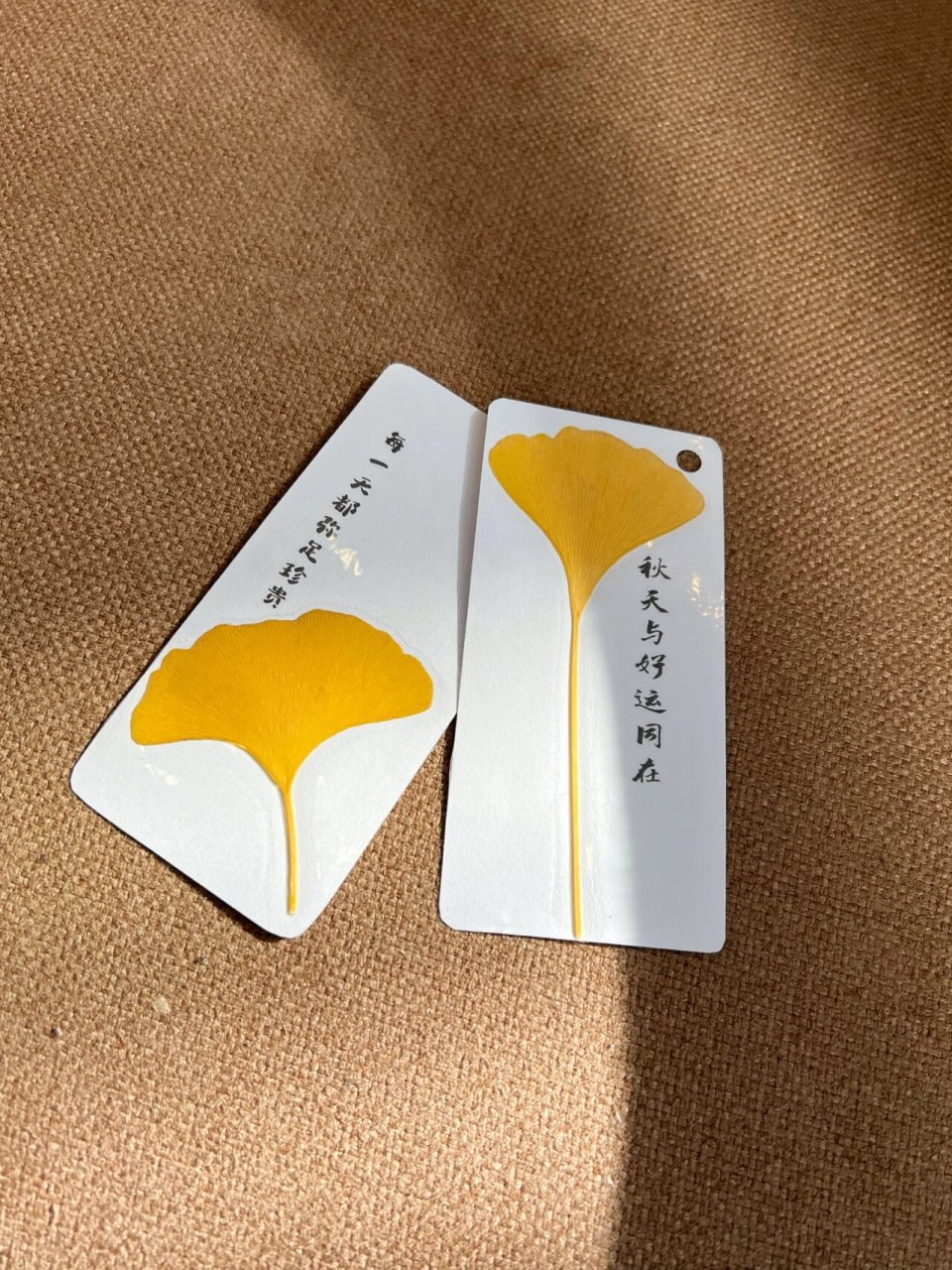 银杏叶diy书签 不会写好看的字也可以做好看的银杏叶书签哦 找一张