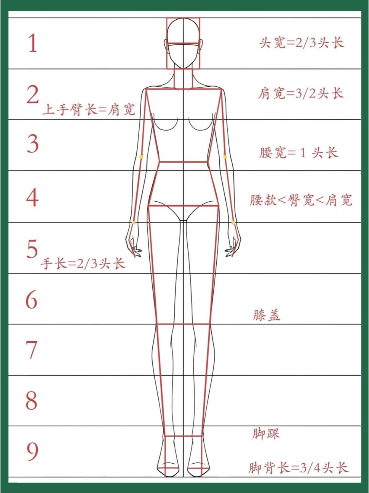 漫画人体比例结构解析